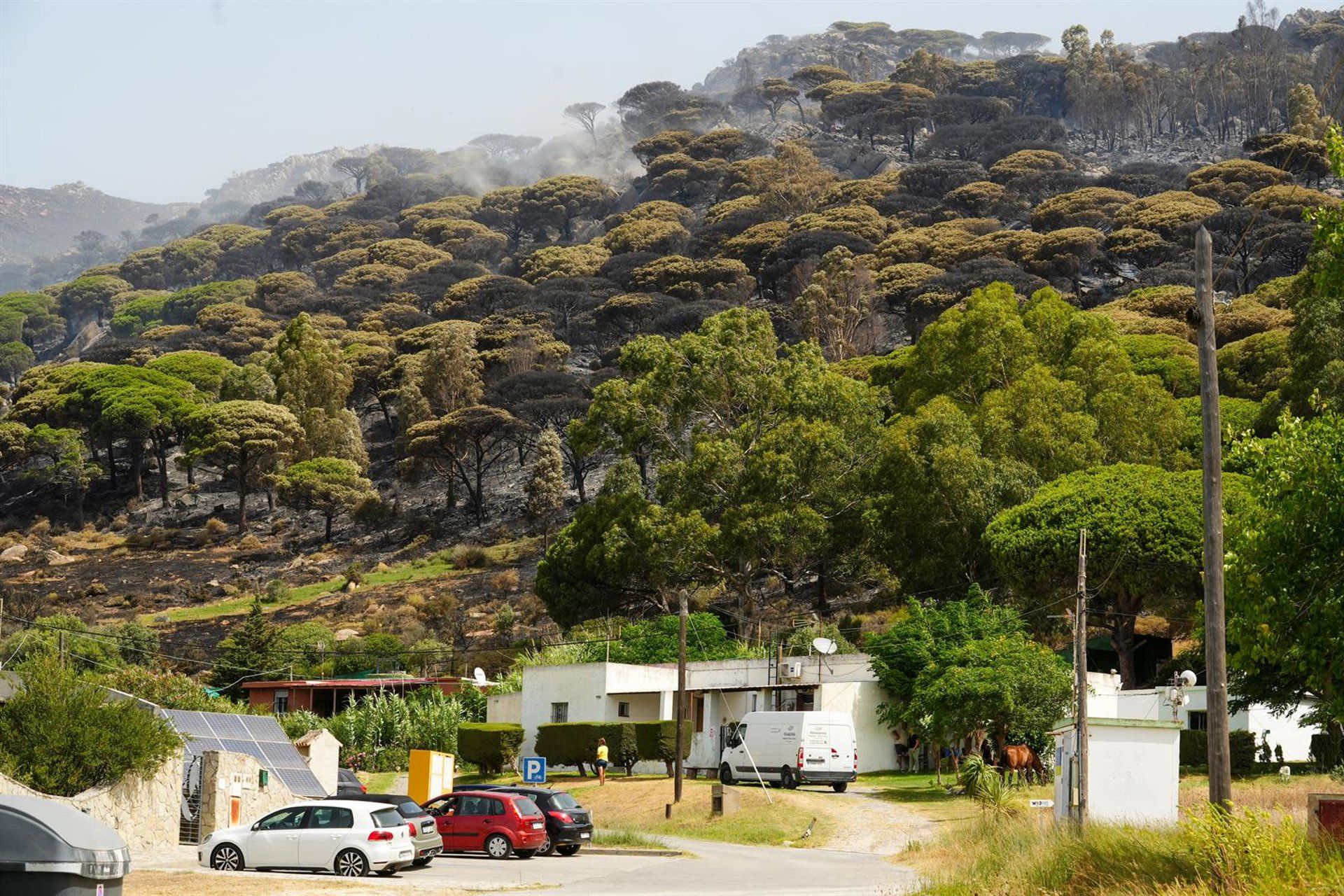 Vegetación quemada en el incendio en Tarifa, A 6 de agosto de 2025 en Tarifa, Cádiz (Andalucía, España). - Francisco J. Olmo - Europa Press