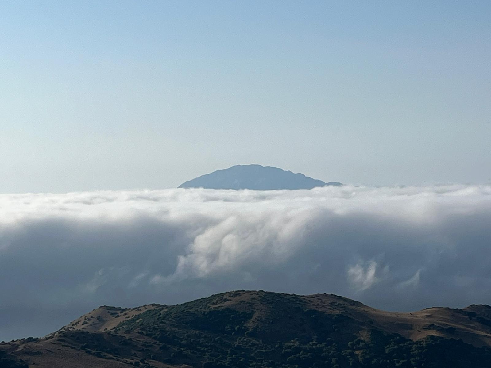 El Campo de Gibraltar amanece con un mar de nubes en el Estrecho. F. M./8Directo. 