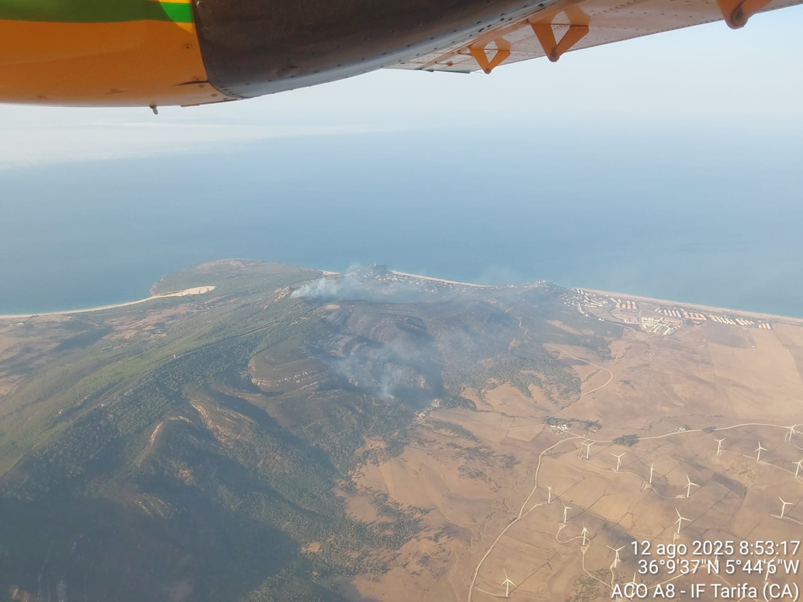 Incendio Tarifa. Imagen de Infoca. La Junta asegura que hay indicios de que el incendio de Tarifa podría haber sido intencionado