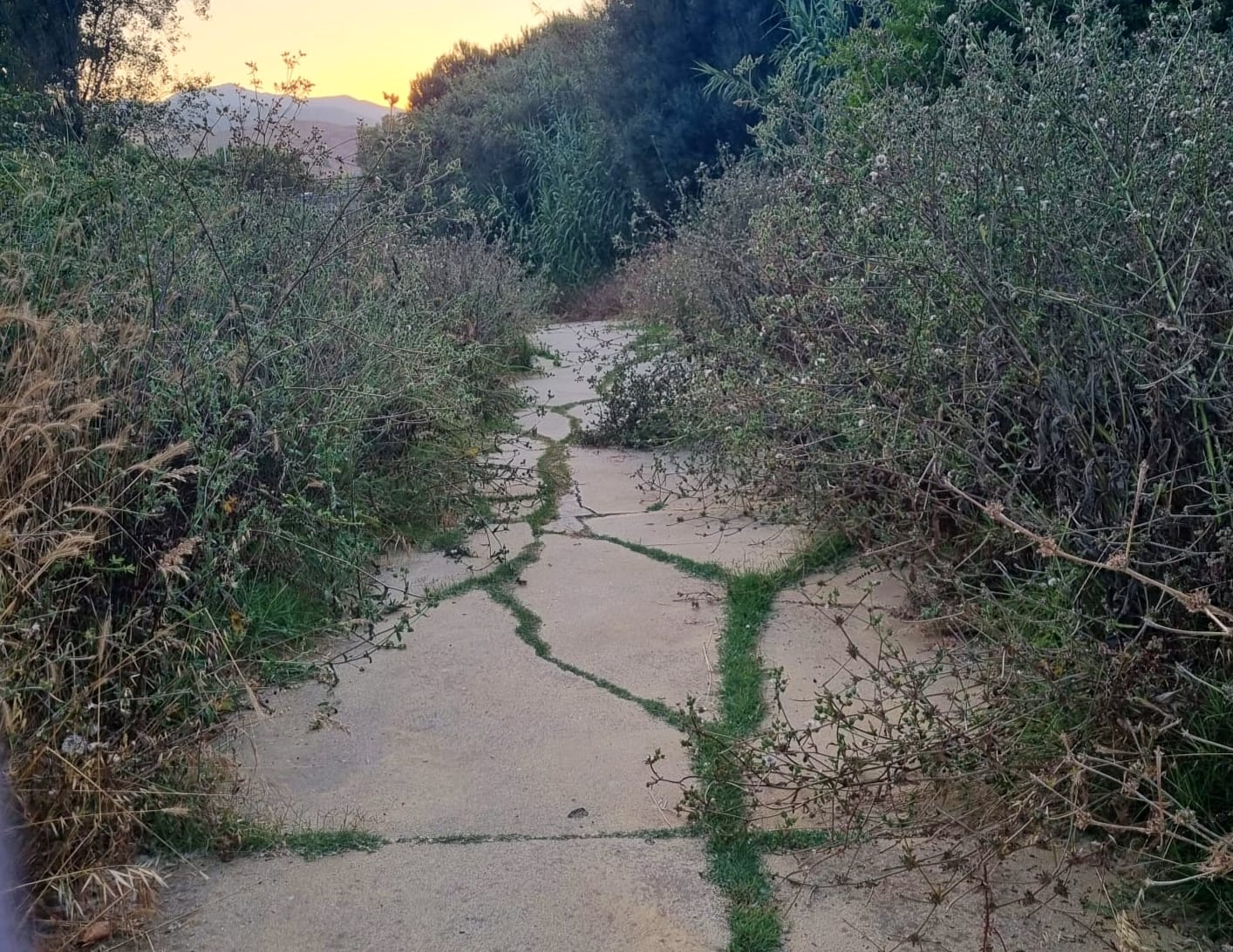 El PSOE pide a Landaluce una "puesta a punto urgente" del Parque del Río Pícaro 