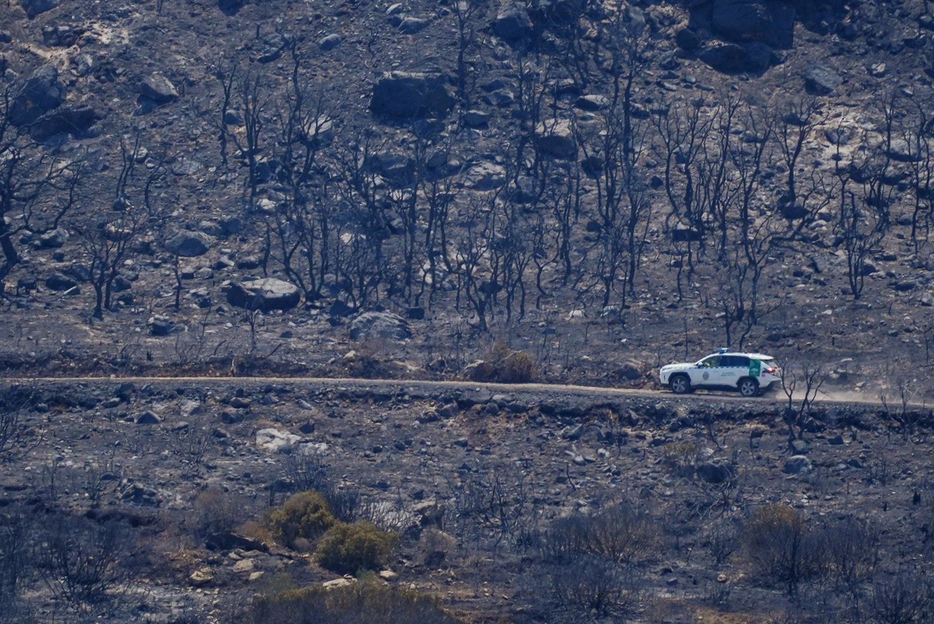 El Gobierno pide "prudencia" sobre las causas del incendio de Tarifa: "Todas las hipótesis están abiertas"