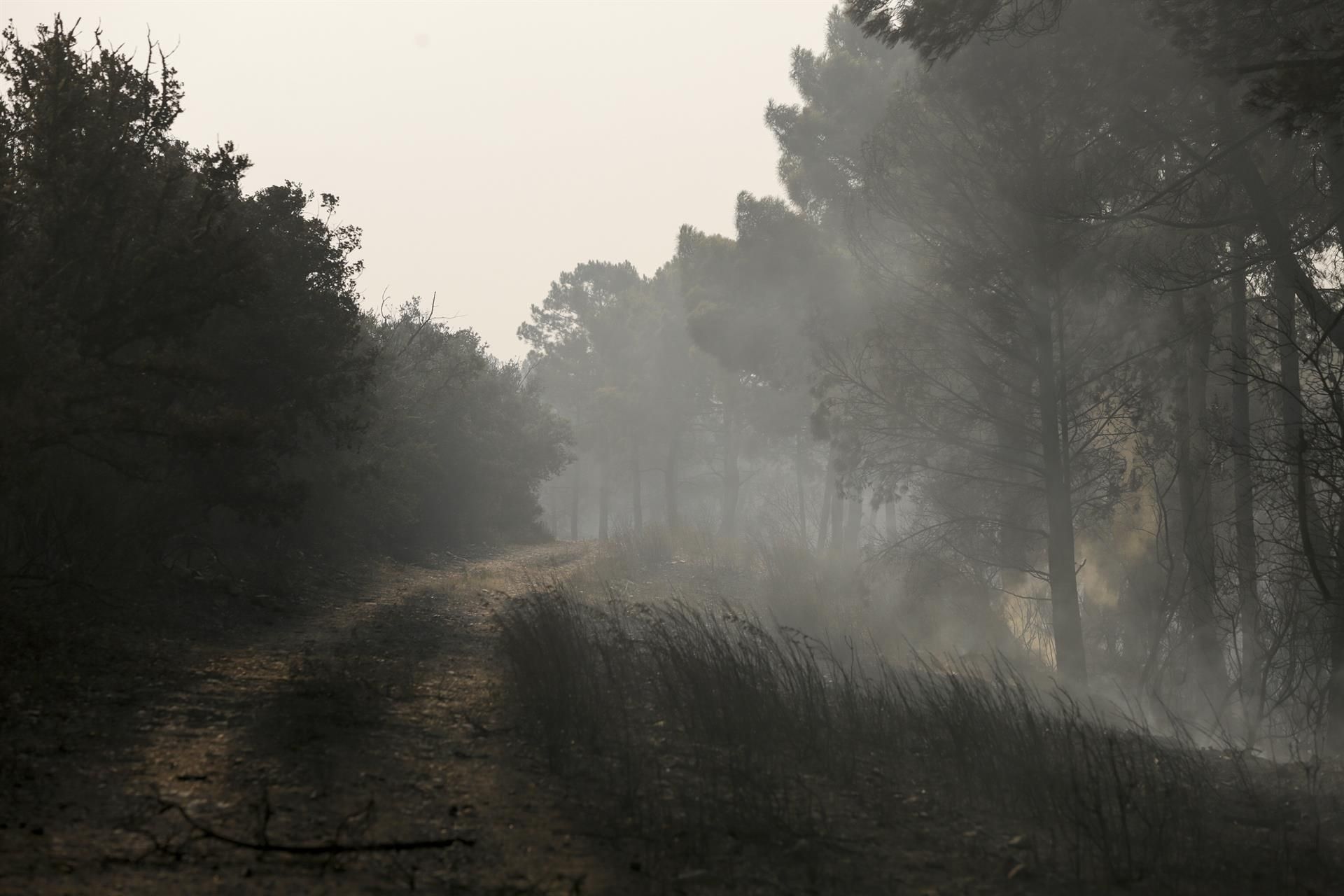 El fuego asola España: dos fallecidos, una veintena de heridos, miles de evacuados y hectáreas quemadas