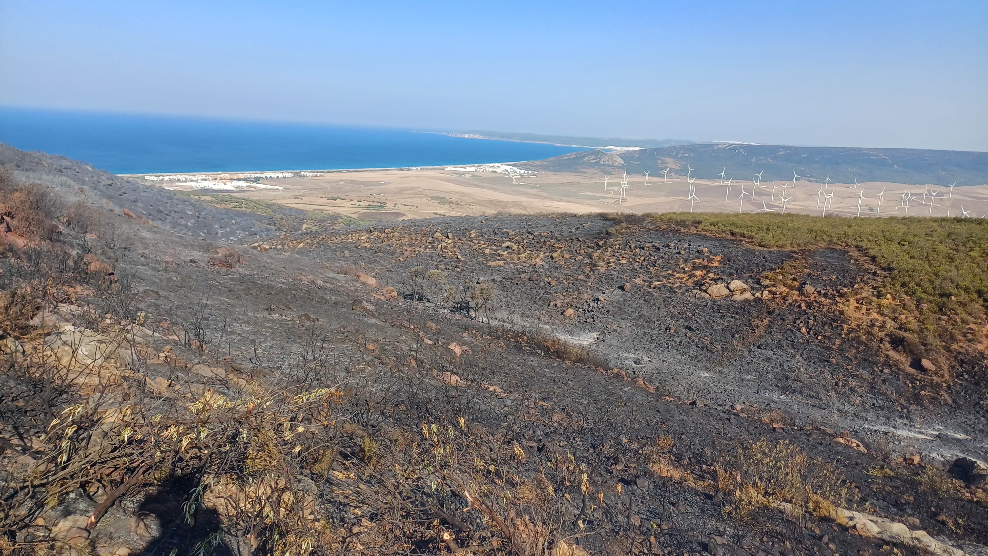 Siete grupos de bomberos y cinco autobombas trabajan para controlar el incendio de Tarifa, todavía estabilizado