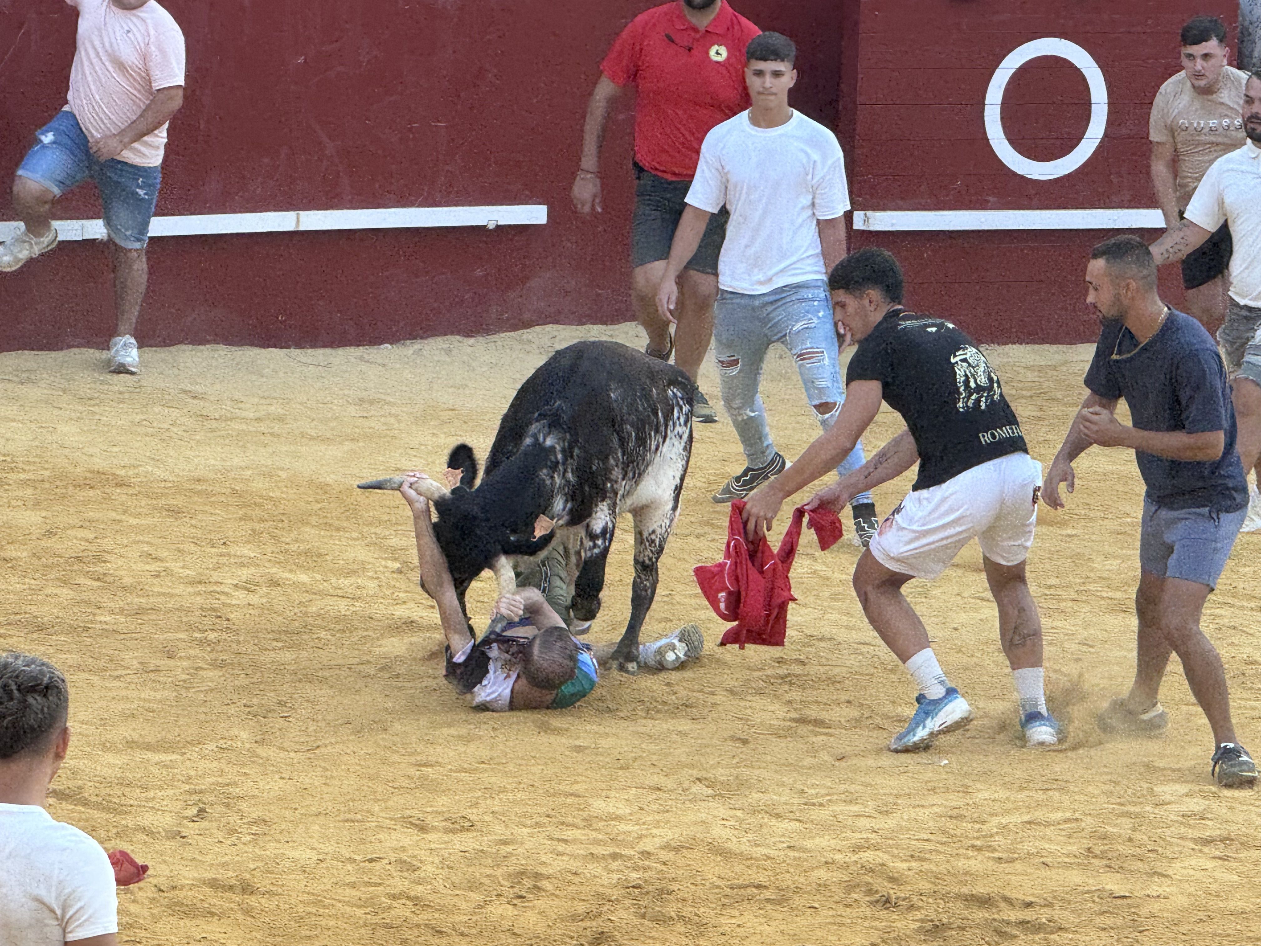 Trasladado al hospital un joven herido durante el Toro del Aguardiente en San Roque. Foto de la celebración del Toro, por Multimedia San Roque.