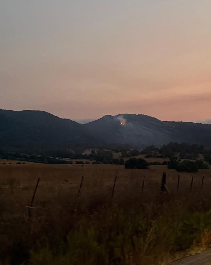 El incendio forestal de Los Barrios en la tare de ayer. 