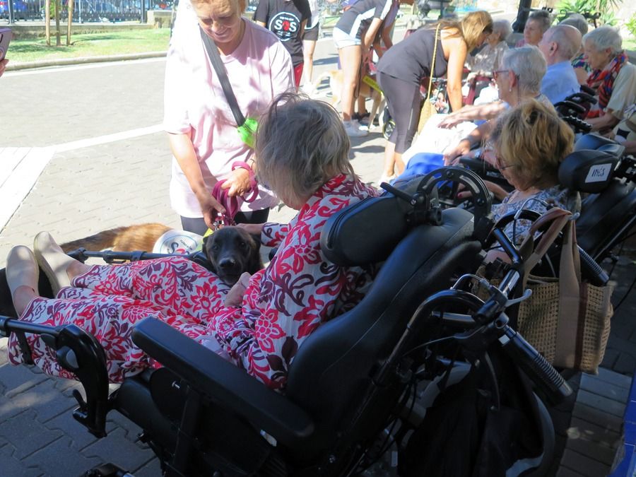 Una caricia compartida: mayores de Los Barrios y Tarifa disfrutan de la compañía de los perros de CANYA