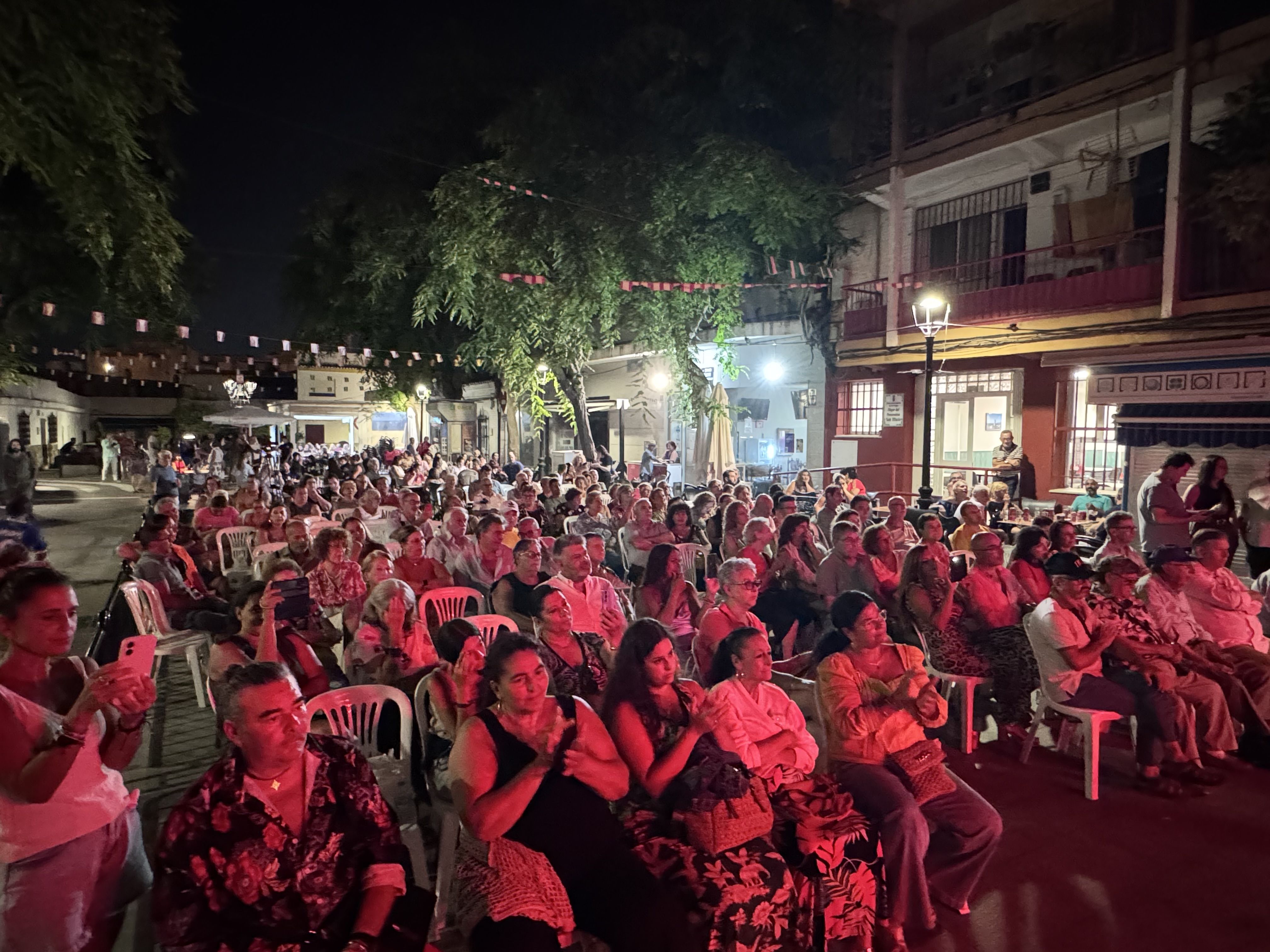 Espectacular noche flamenca en Puente Mayorga
