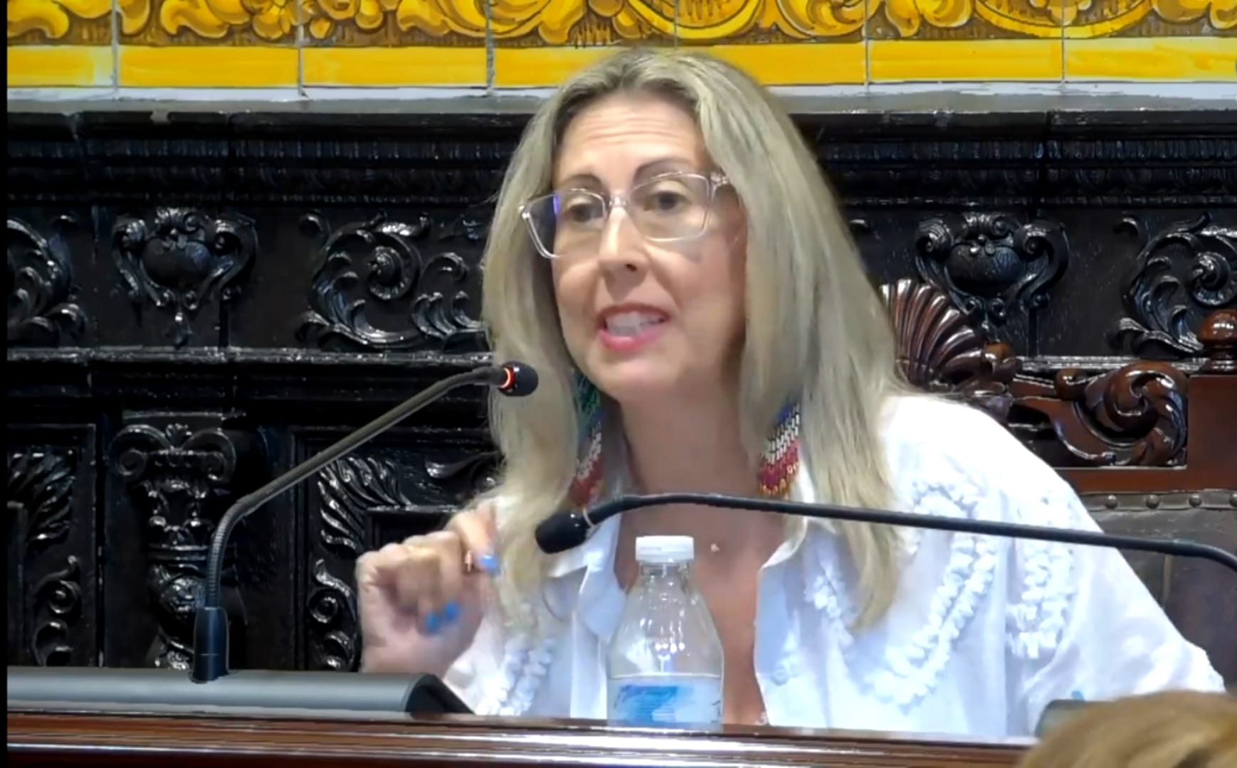 Eva Corbacho, en un pleno. 