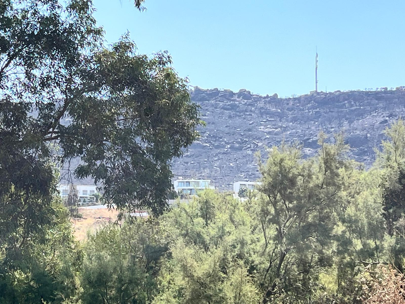 El Gobierno declara a Tarifa como zona catastrófica, lo que permitirá a los afectados por los incendios solicitar ayudas. Foto: F.M. / 8Directo