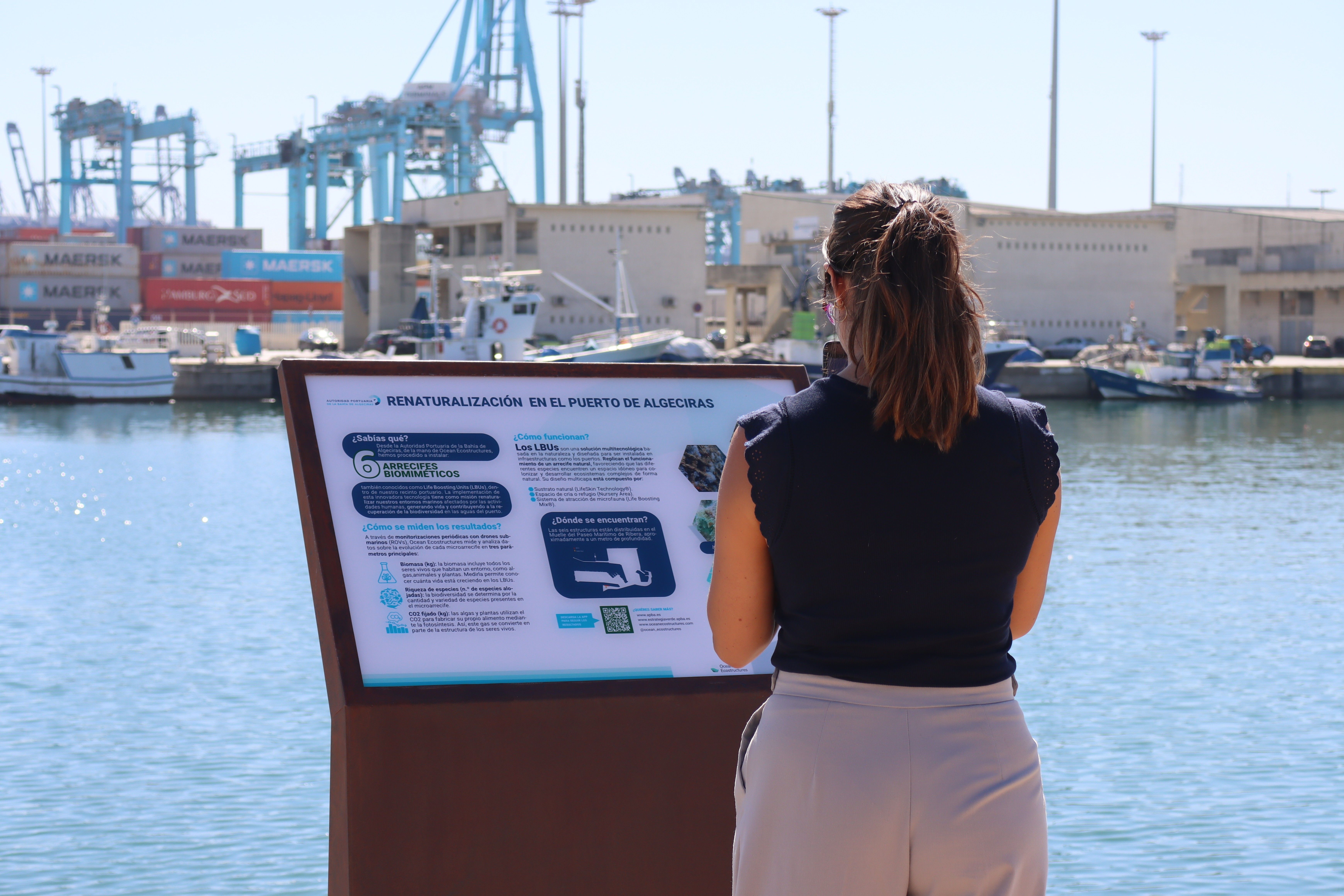 Imagen del tótem informativo instalado por la APBA. Aumenta un 81% la riqueza biológica en los arrecifes biomiméticos instalados en el muelle del Llano Amarillo