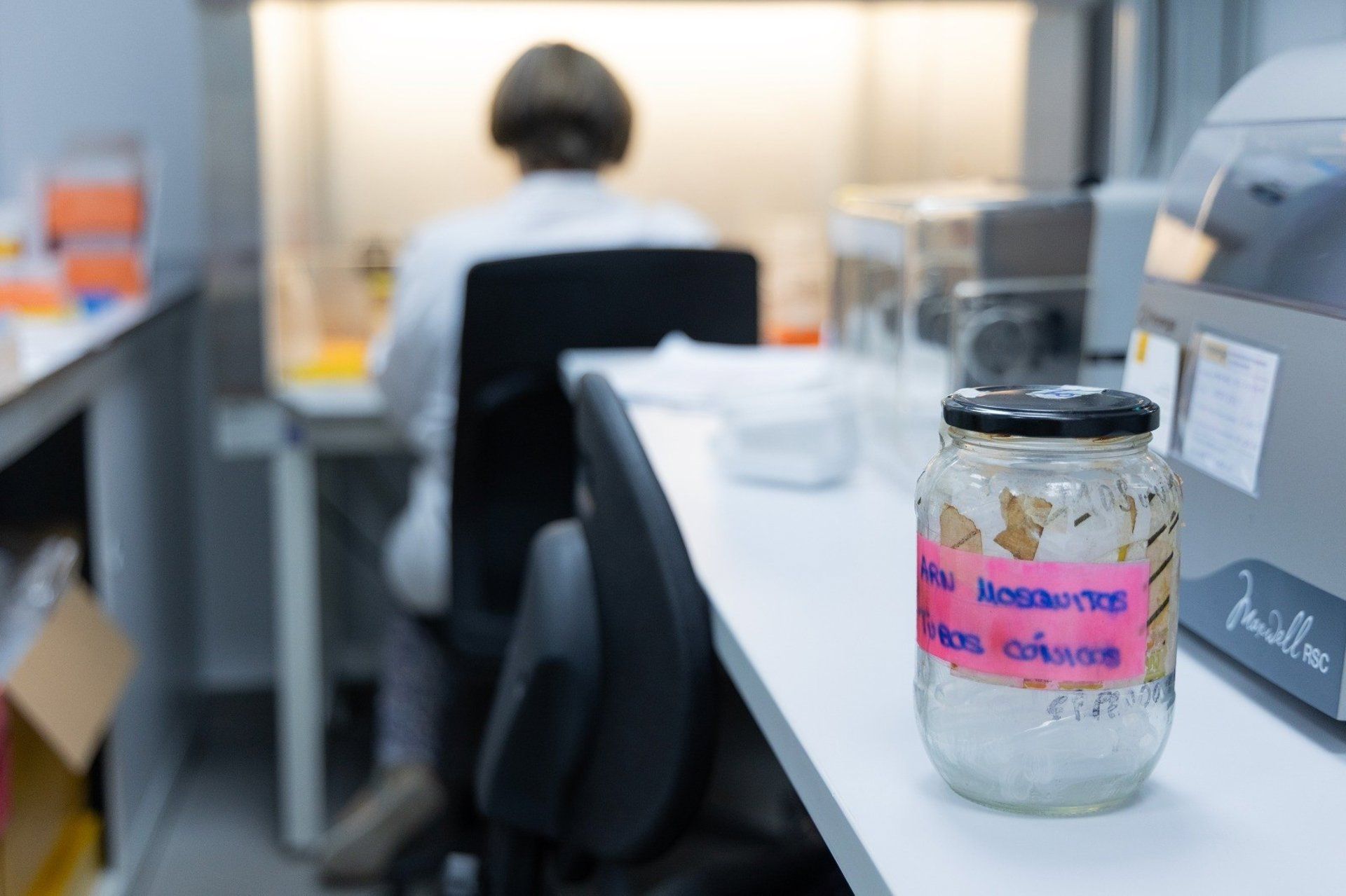Salud detecta la circulación del virus del Nilo en mosquitos en Barbate