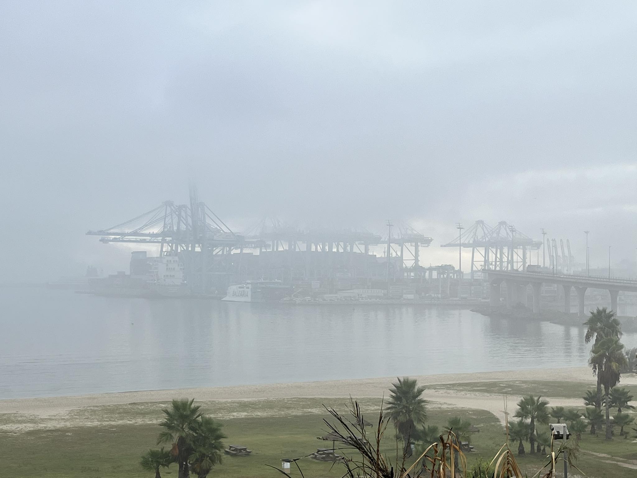 ¿Por qué el Campo de Gibraltar ha amanecido cubierto de niebla? Foto: 8Directo