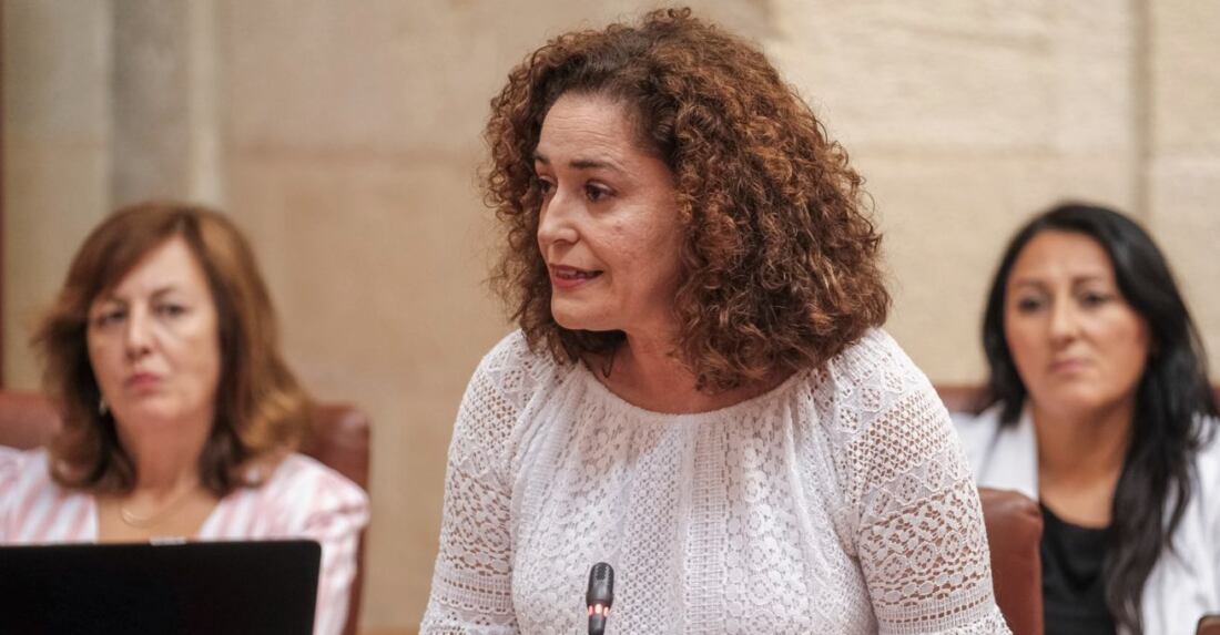 La diputada de Izquierda Unida y portavoz parlamentaria de Por Andalucía, Inma Nieto. 