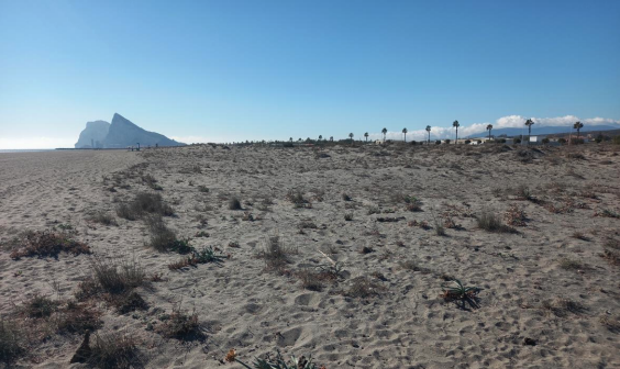La Línea restaurará el sistema dunar de la playa de Levante con una inversión de 440.531 euros