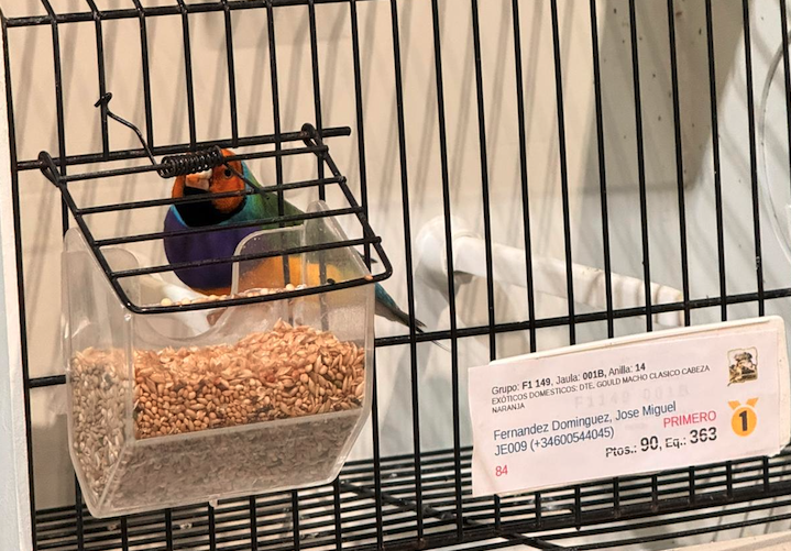 Los Cortijillos acoge la muestra de aves del concurso ornitológico 