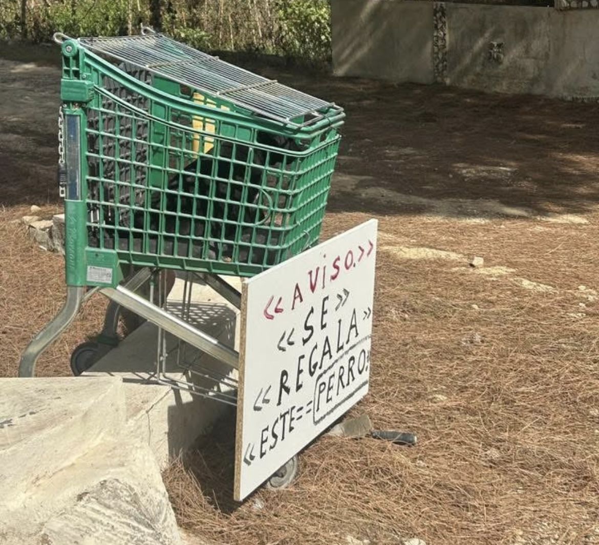 Imagen compartida por la Clínica Veterinaria El Estrecho. Abandonan a un cachorro dentro de un carro de supermercado en Los Barrios Imagen compartida por la Clínica Veterinaria El Estrecho. Abandonan a un cachorro dentro de un carro de supermercado en Los Barrios