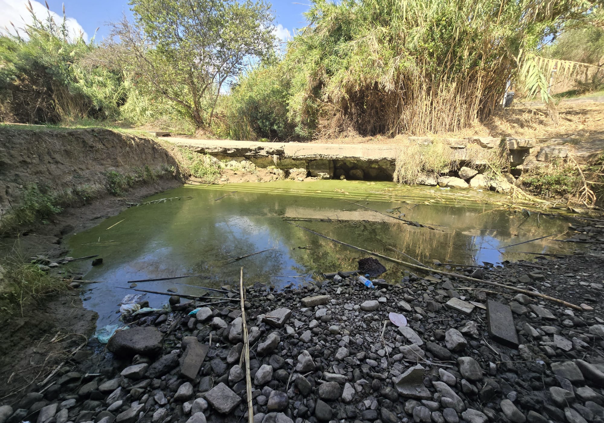 Verdemar denuncia la pérdida de caudal en el río Pícaro