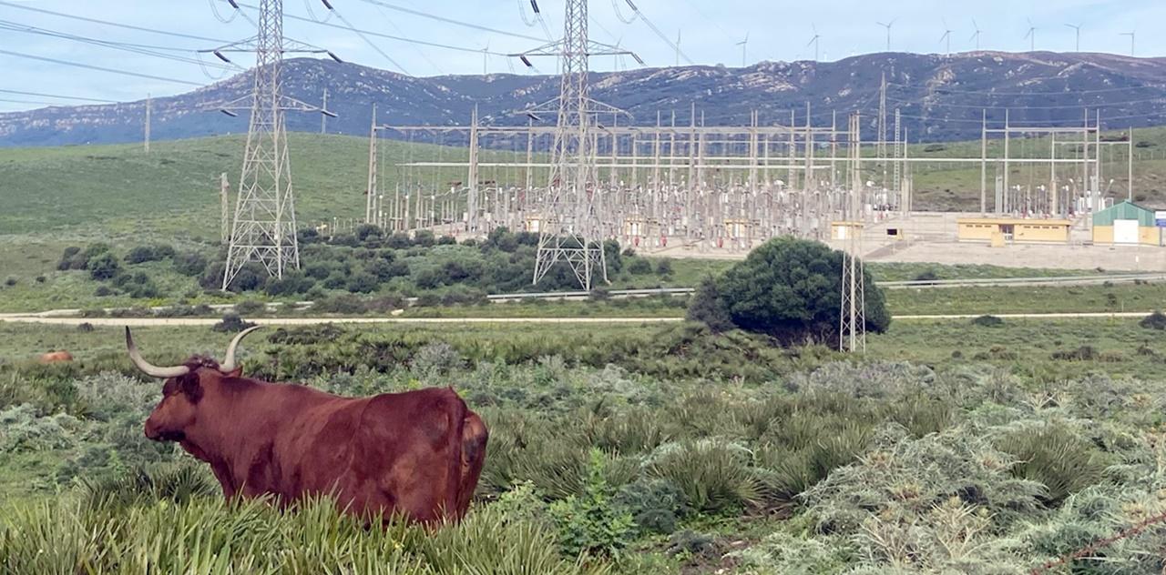 La Palmosilla. Imagen de Agaden, que pide que el proyecto 'S.T. Palmosilla' se cambie de lugar a suelos industriales o degradados