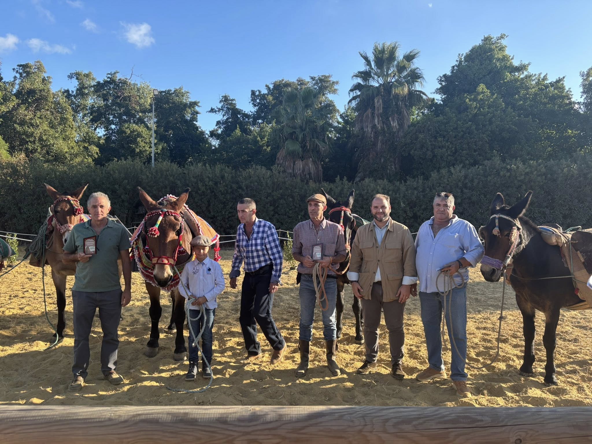 Castellar de la Frontera pone broche final al Día del Caballo este domingo