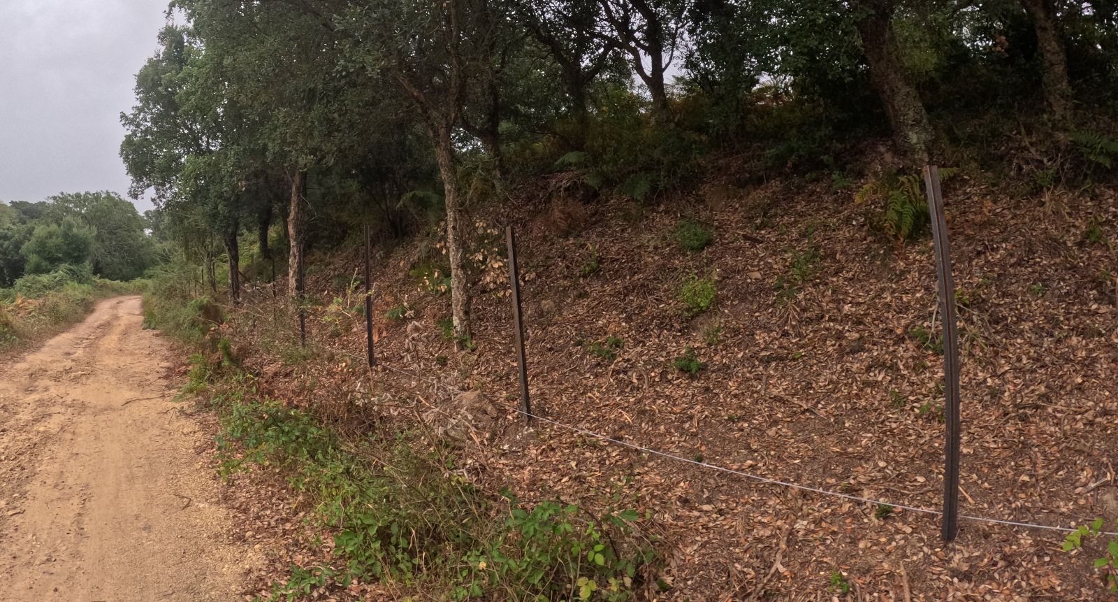 La Junta abre un expediente sancionador por daños en el Parque Natural Los Alcornocales