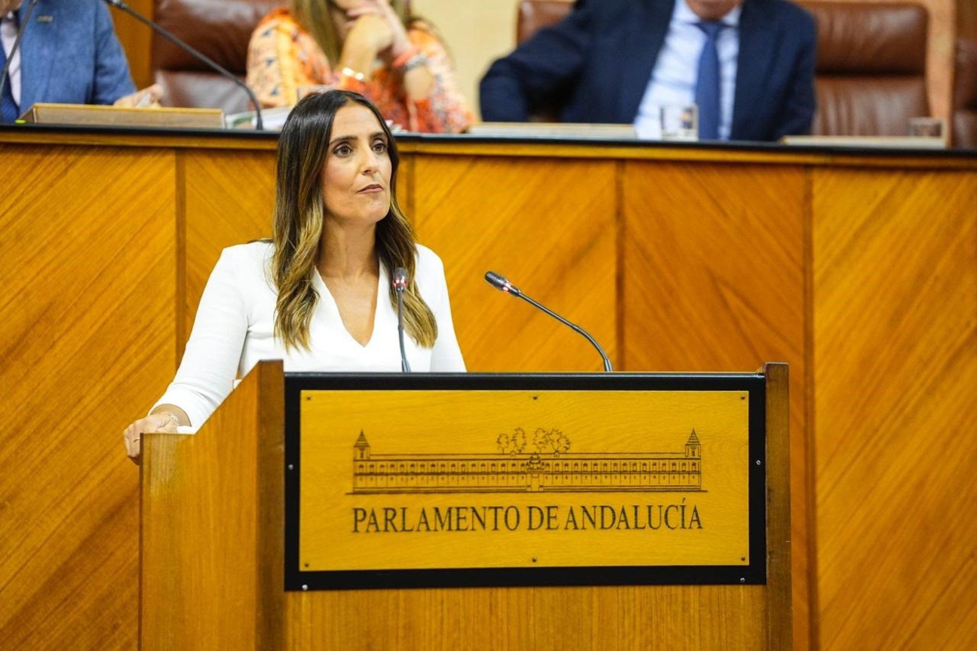 La diputada del Grupo Popular Beatriz Jurado, este miércoles durante su intervención en el debate general sobre sanidad en el Pleno del Parlamento. - JOAQUÍN CORCHERO/PARLAMENTO DE ANDALUCÍA