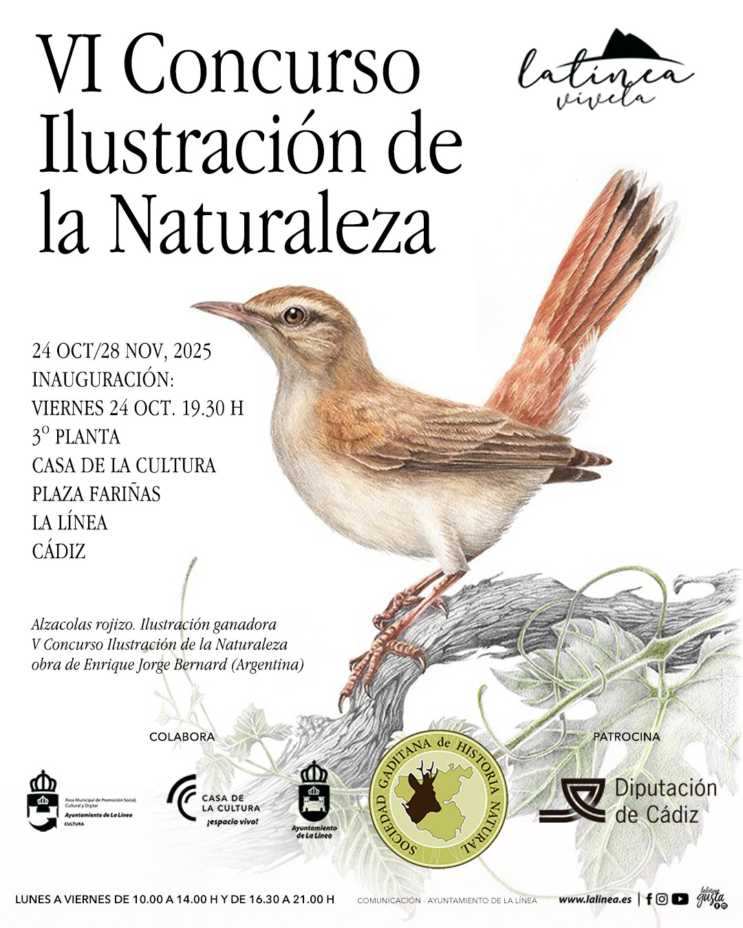 Cartel de las XI Jornadas de Historia Natural de Cádiz. Ayuntamiento de La Línea.
