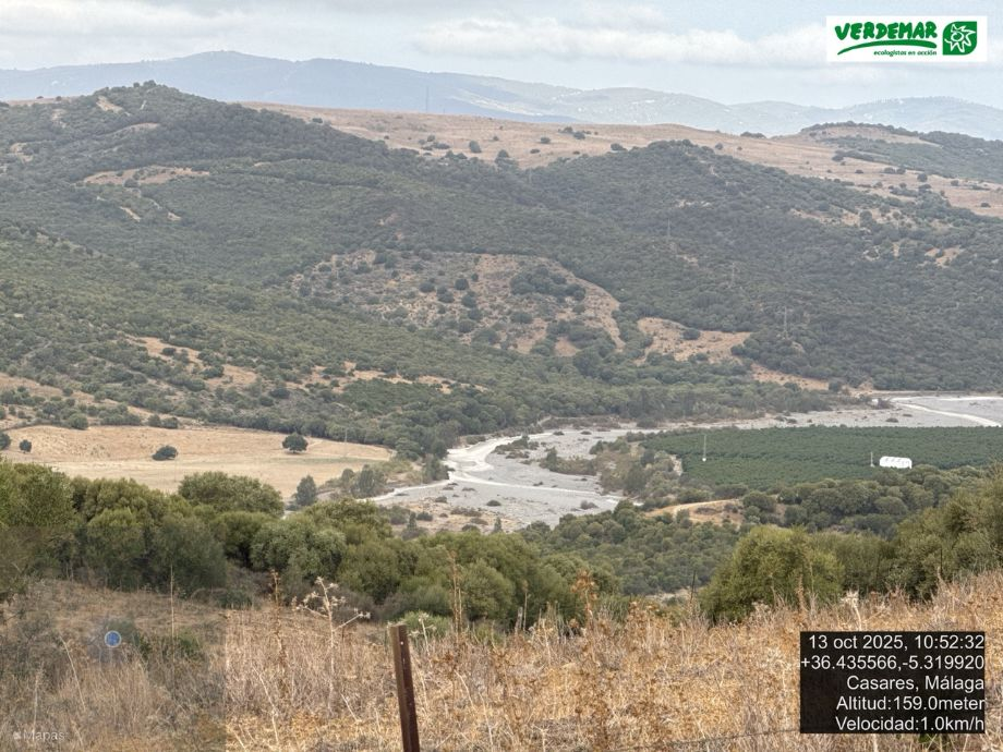 Verdemar–Ecologistas en Acción alerta de la muerte del río Guadiaro por la expansión del aguacate