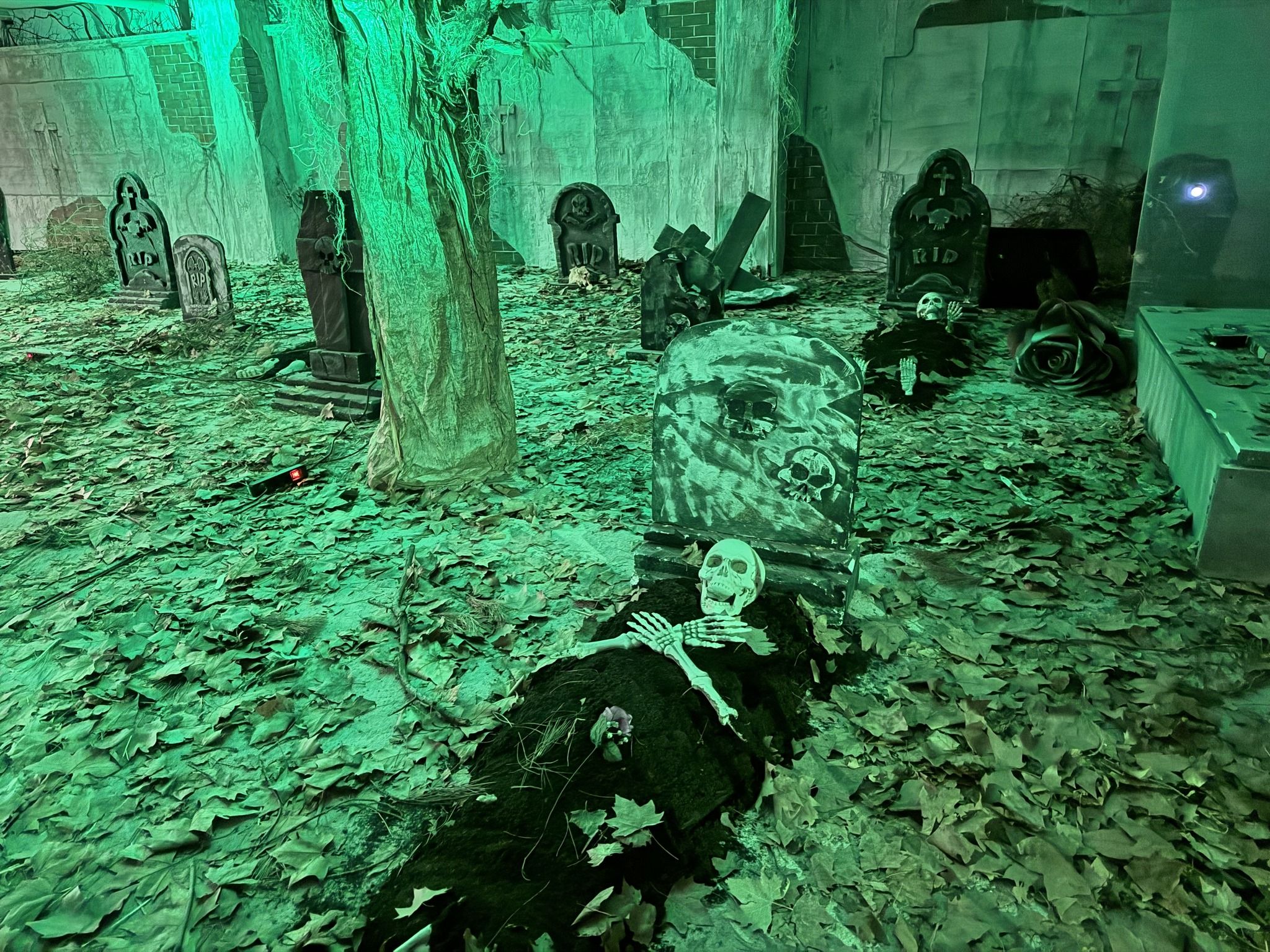 Imagen de una de las estancias de La Casa Maldita. 