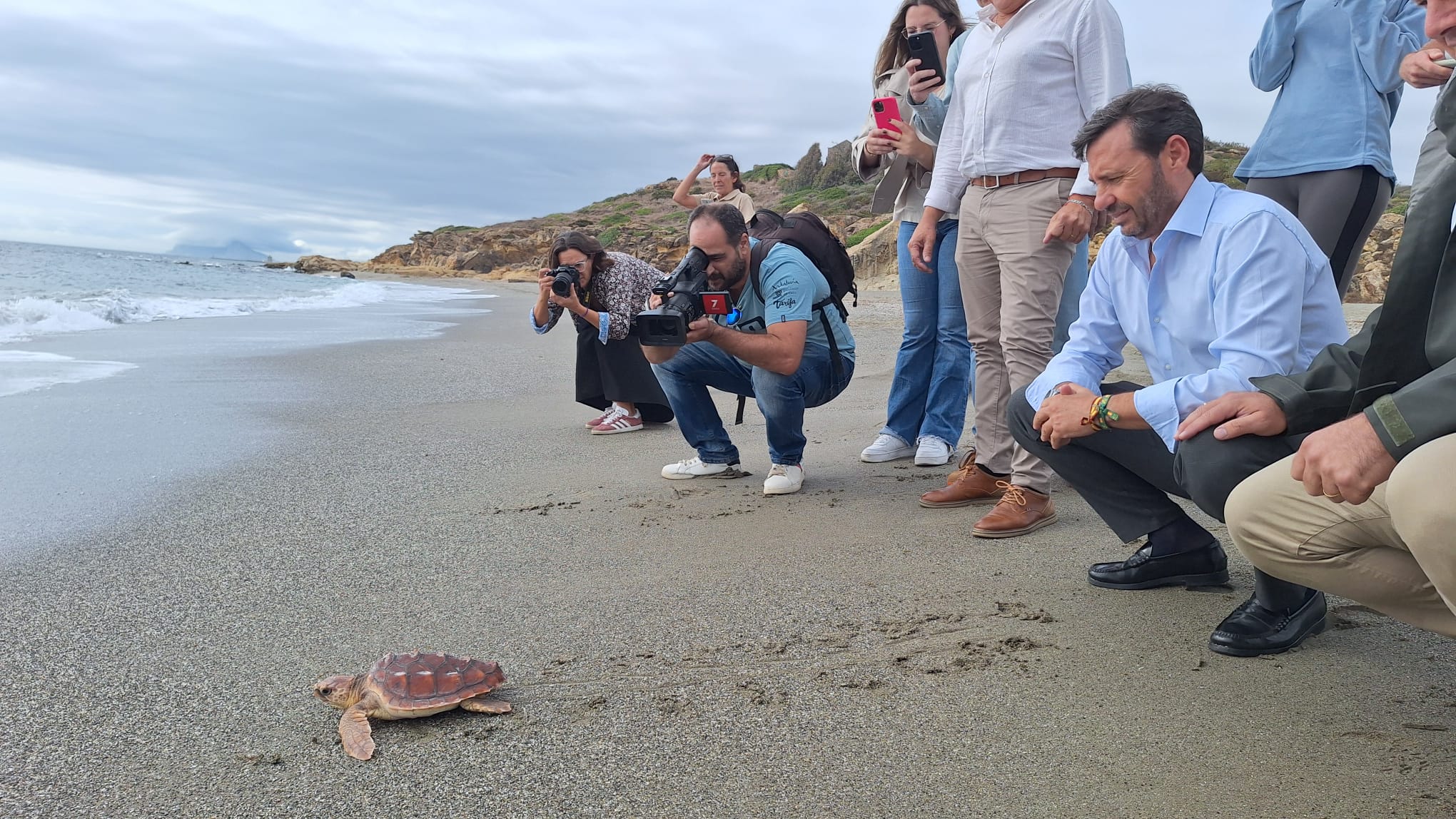 Liberan al medio natural un ejemplar de tortuga boba en la playa de Cala Sardina en San Roque