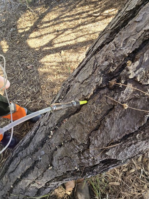 imagen 2025 10 28 142825451 imagen 2025 10 28 142825451