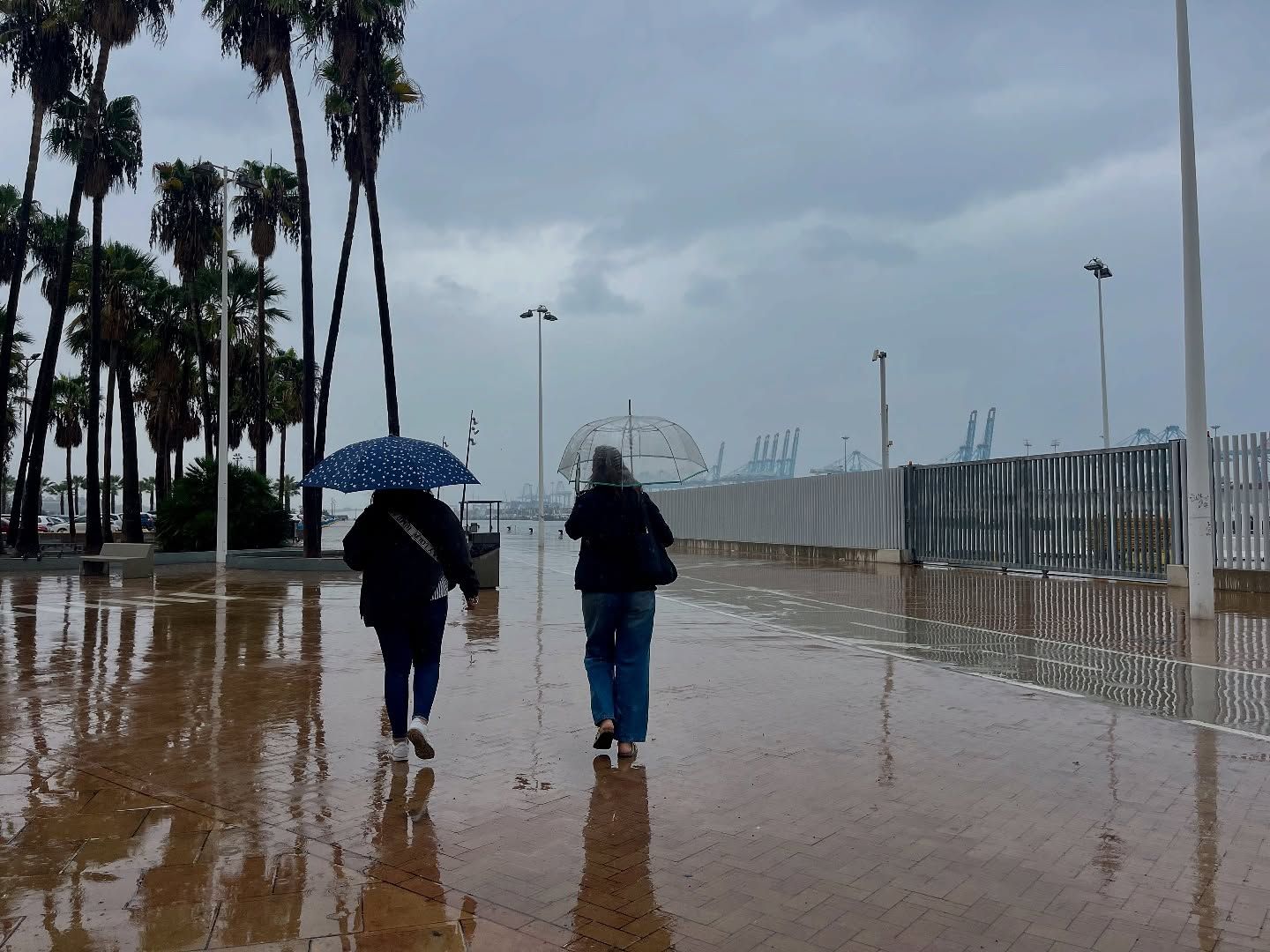 Algeciras cierra parques municipales y cementerios ante el aviso amarillo