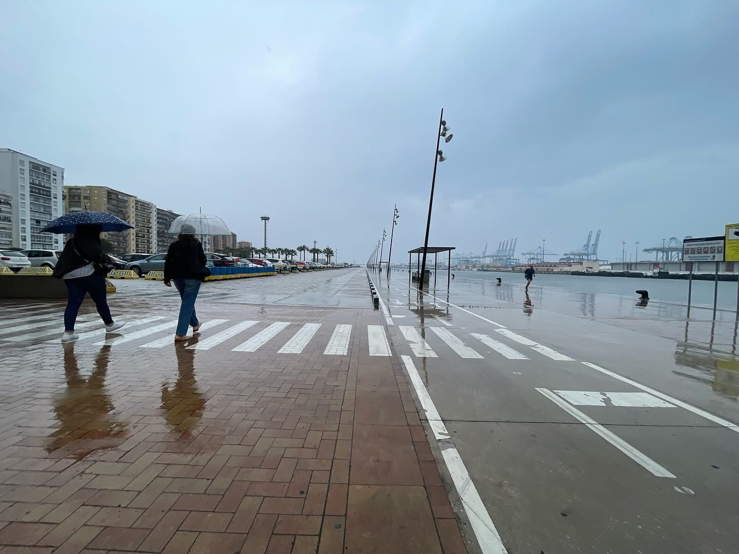 El viento provoca varias incidencias leves en Algeciras y La Línea. Imagen de 8Directo. 