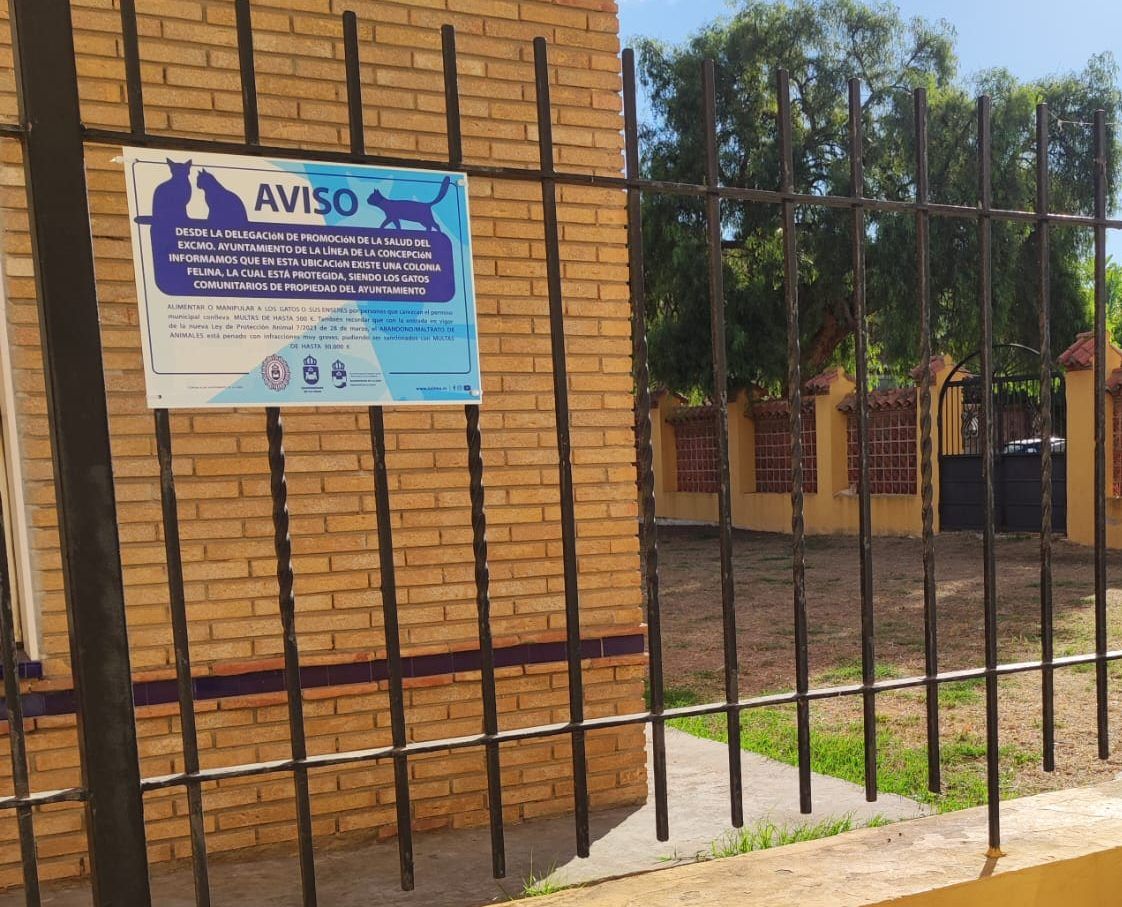 La Línea refuerza la sensibilización sobre bienestar animal y la protección de las colonias felinas