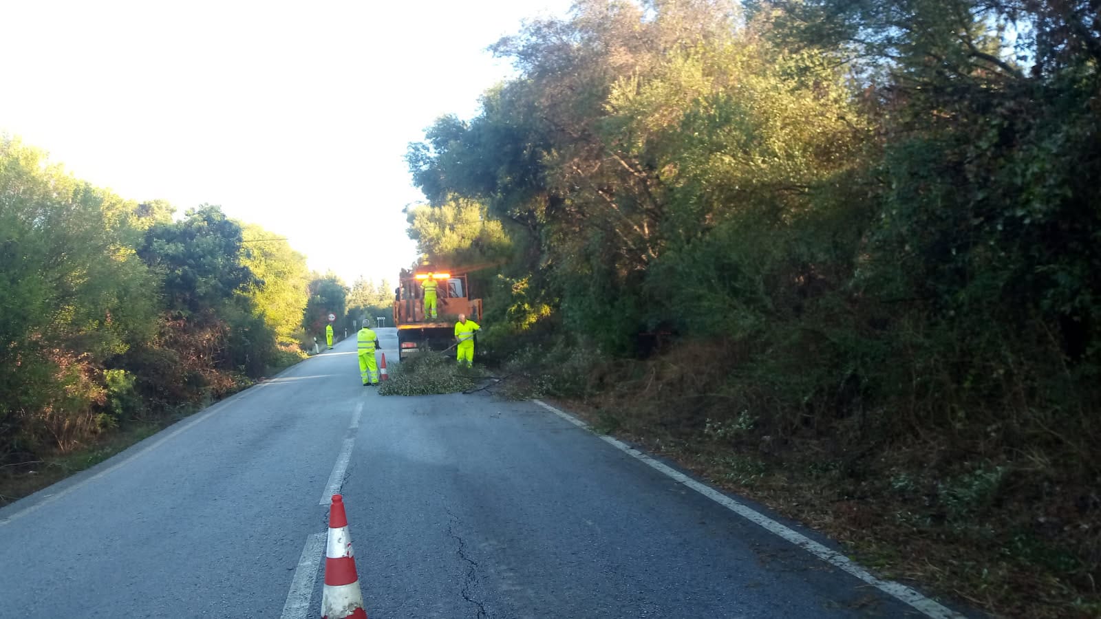 La Junta acomete labores de poda en los márgenes de la A-405 