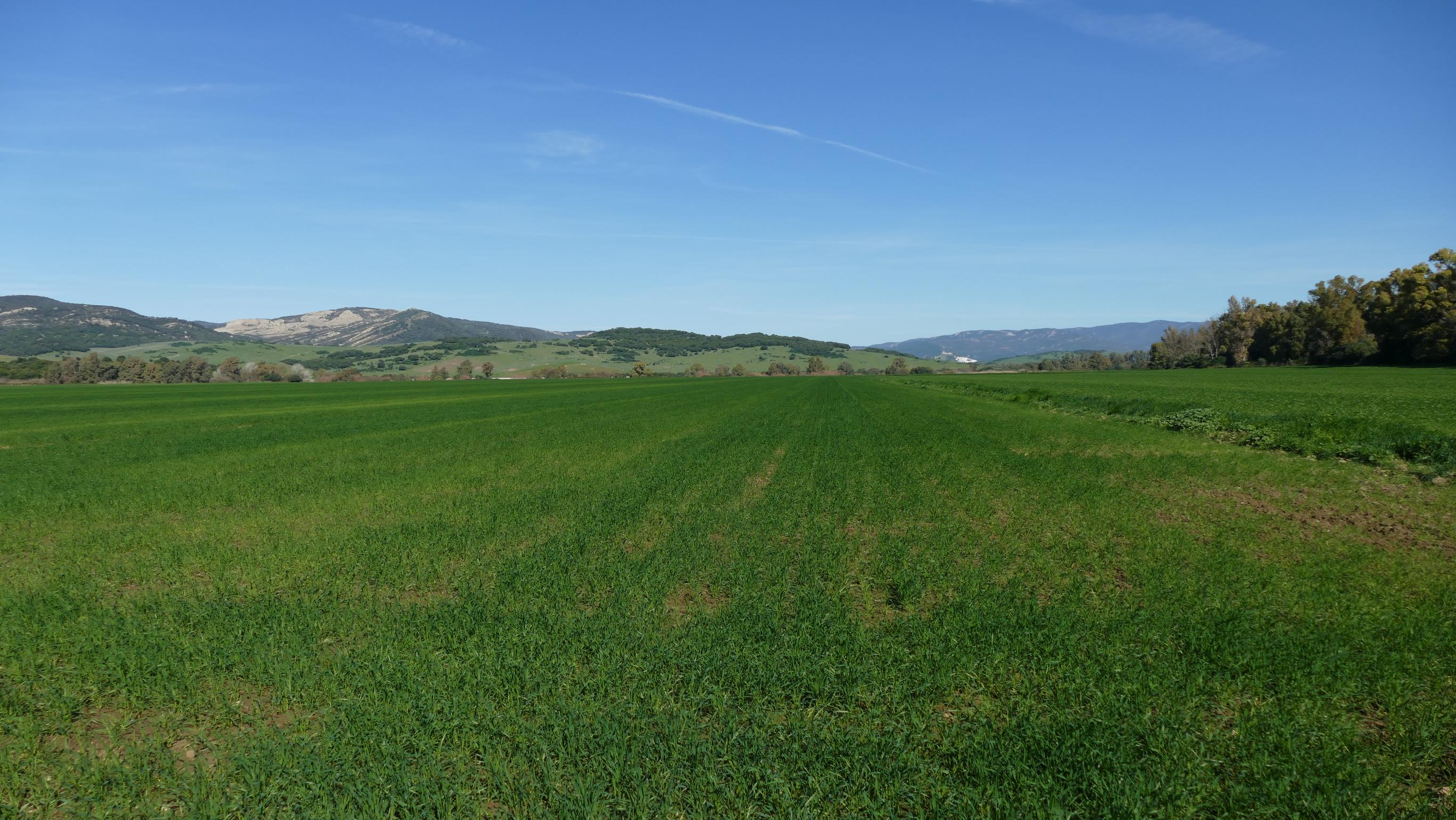 AGADEN solicita al Ayuntamiento de Jimena la suspensión temporal de licencias para parques fotovoltaicos AGADEN solicita al Ayuntamiento de Jimena la suspensión temporal de licencias para parques fotovoltaicos