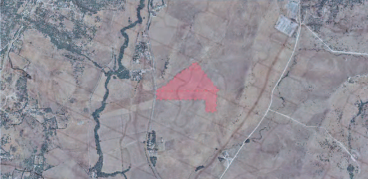 Tarifa estudia implantar un complejo turístico rural en la zona de La Palmosilla