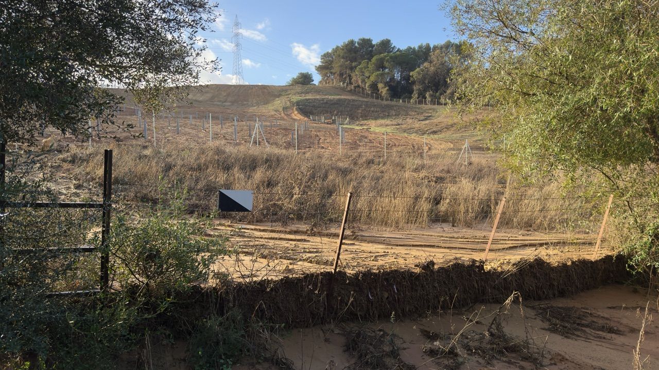 Verdemar culpa a las obras de una planta solar de arrastre de tierra en el Pinar del Rey Verdemar culpa a las obras de una planta solar de arrastre de tierra en el Pinar del Rey