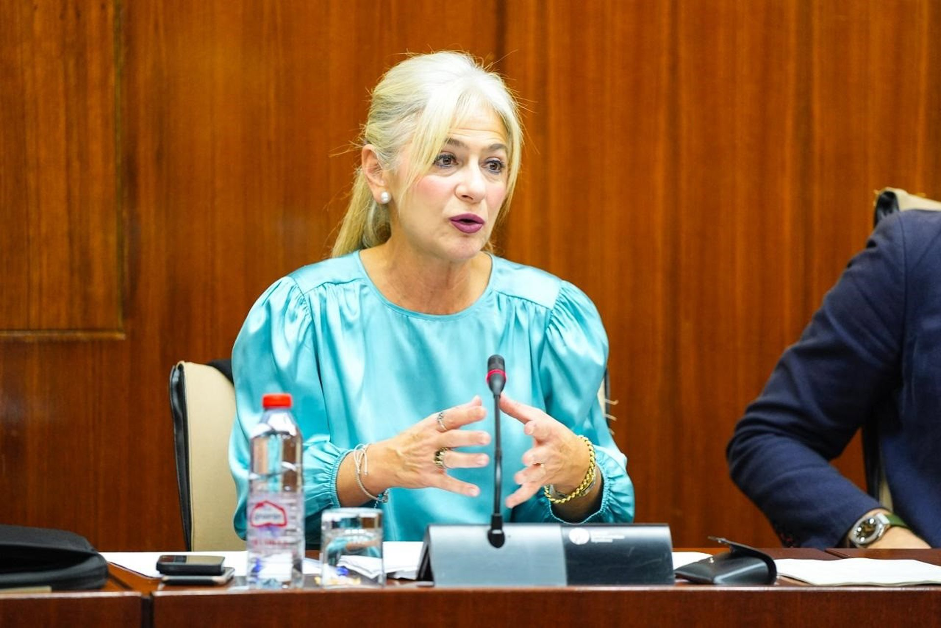 La consejera de Cultura, Patricia del Pozo. Europa Press. La consejera de Cultura, Patricia del Pozo. Europa Press.