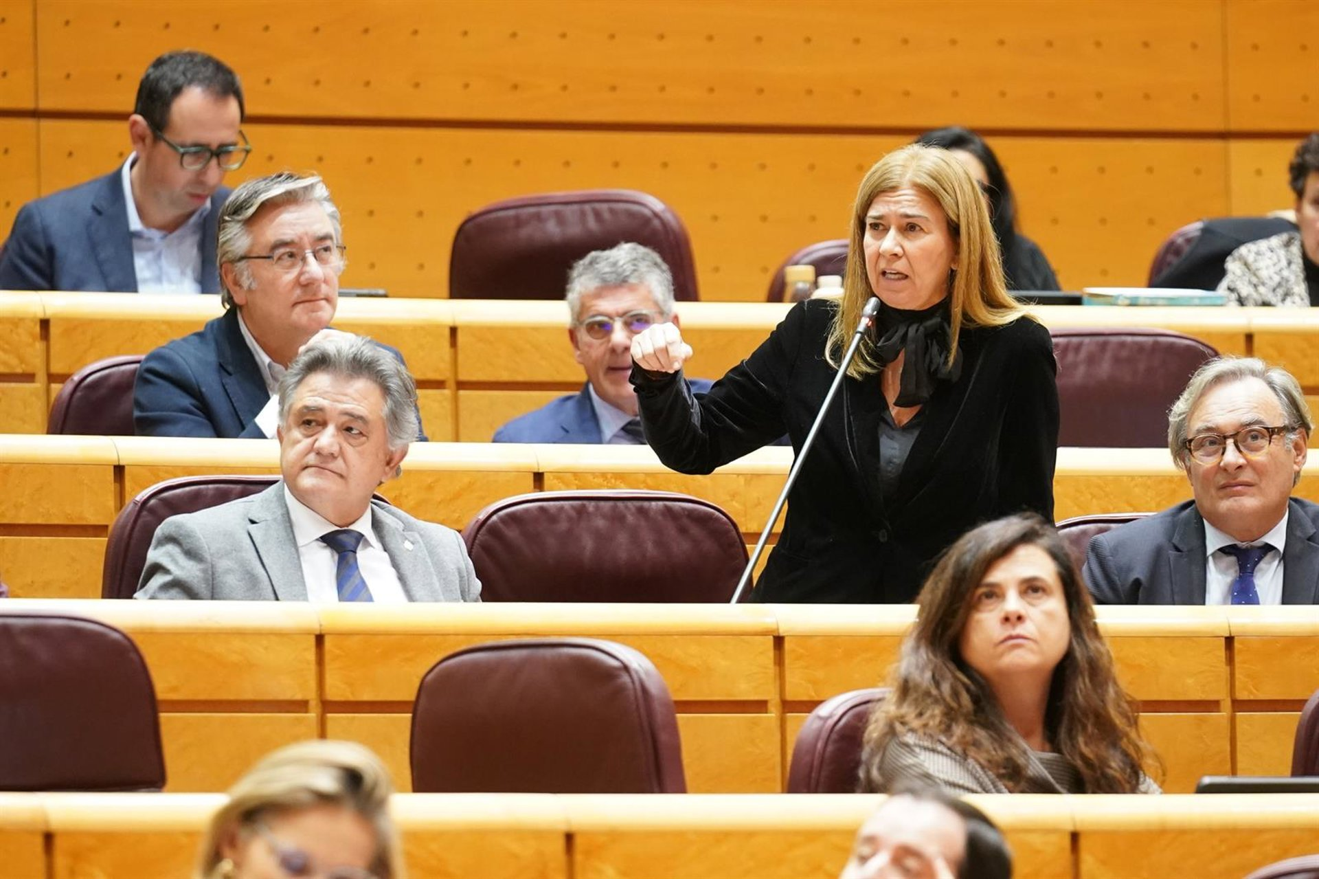 La senadora del PP Teresa Ruiz-Sillero en el pleno del Senado. Europa Press. La senadora del PP Teresa Ruiz-Sillero en el pleno del Senado. Europa Press.