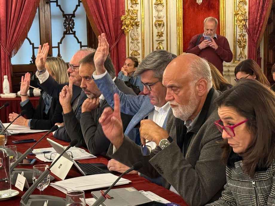 La Diputación de Cádiz aprueba por unanimidad la moción presentada por 100x100 para regenerar El Rinconcillo