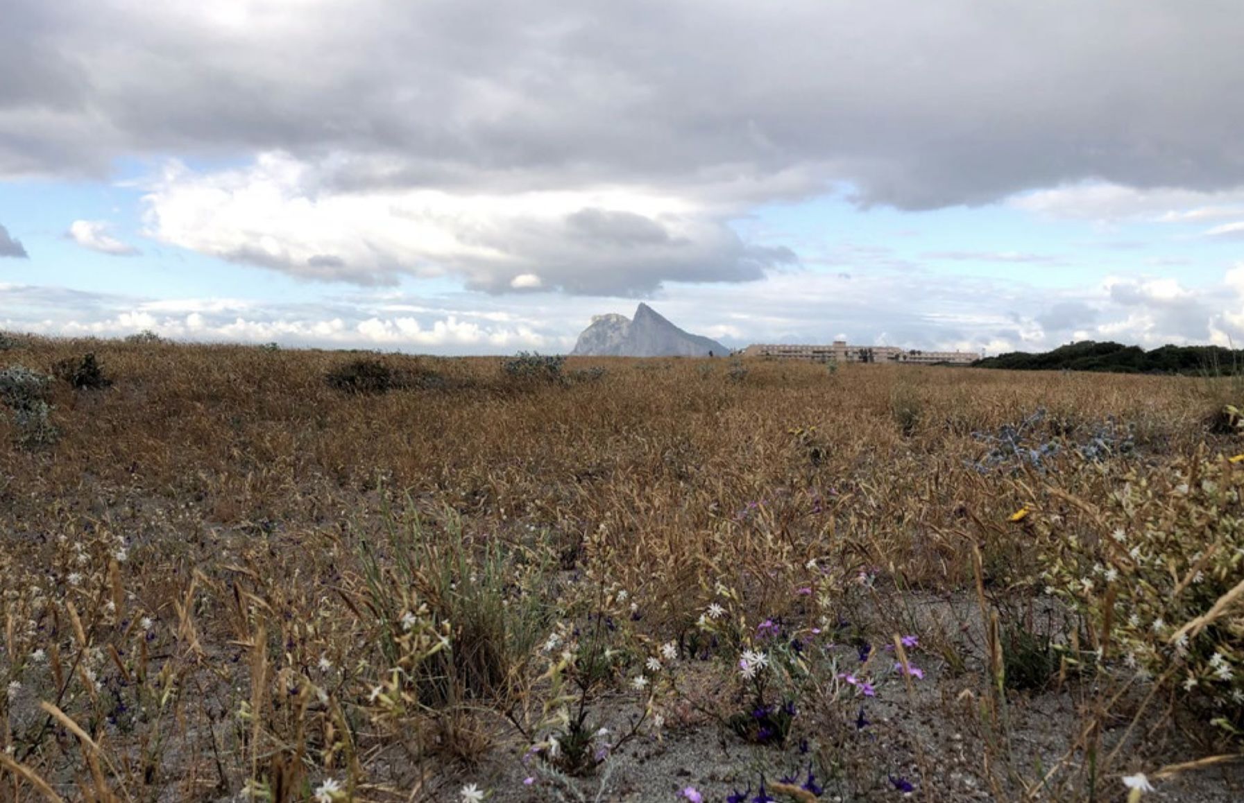 Lámina 1. Istmo de Gibraltar, escenario del enfrentamiento entre visigodos y bereberes en la primavera de 711. Imagen del autor.