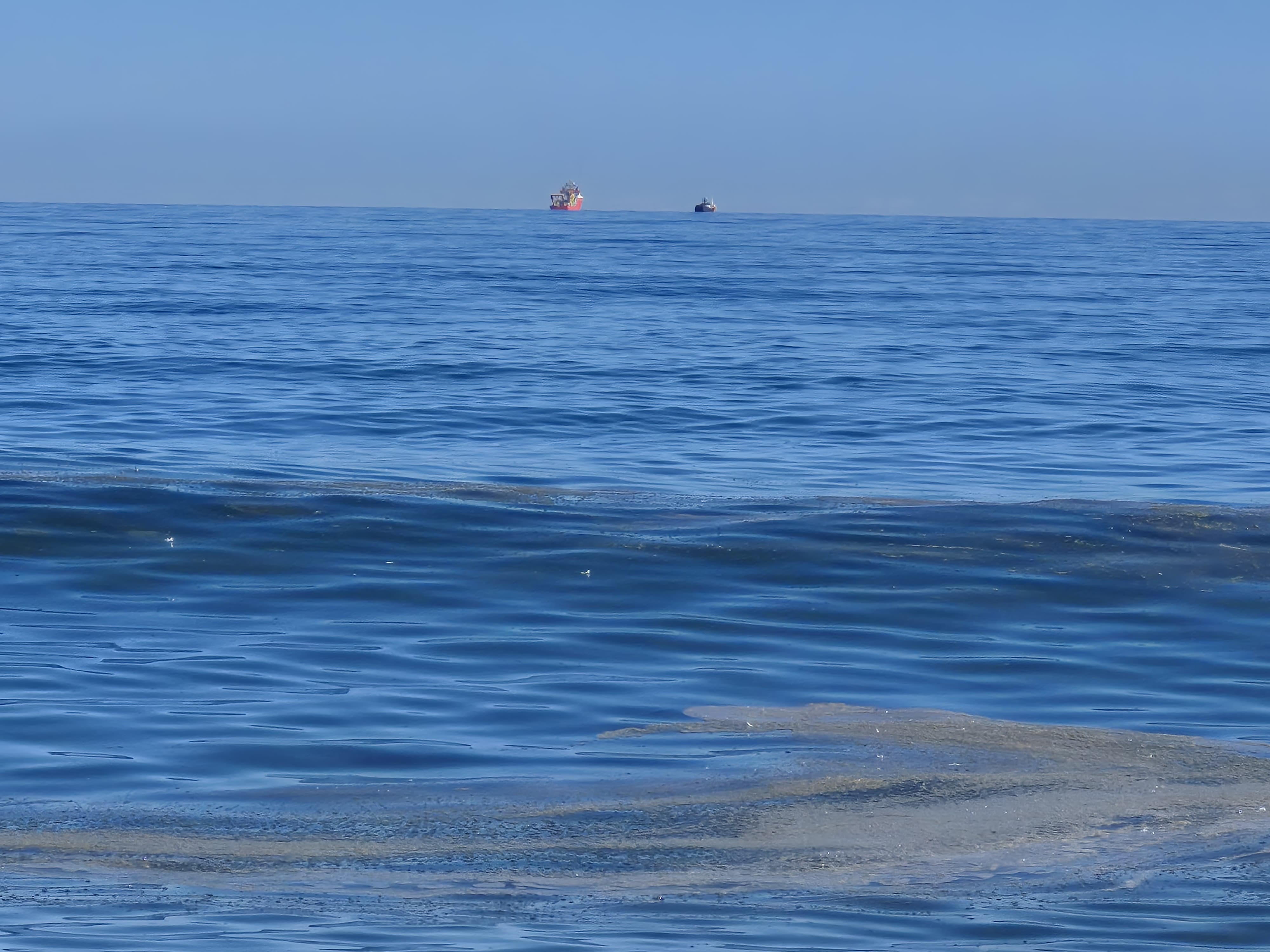Verdemar denuncia ante la Junta posibles vertidos en la playa de Levante de La Línea
