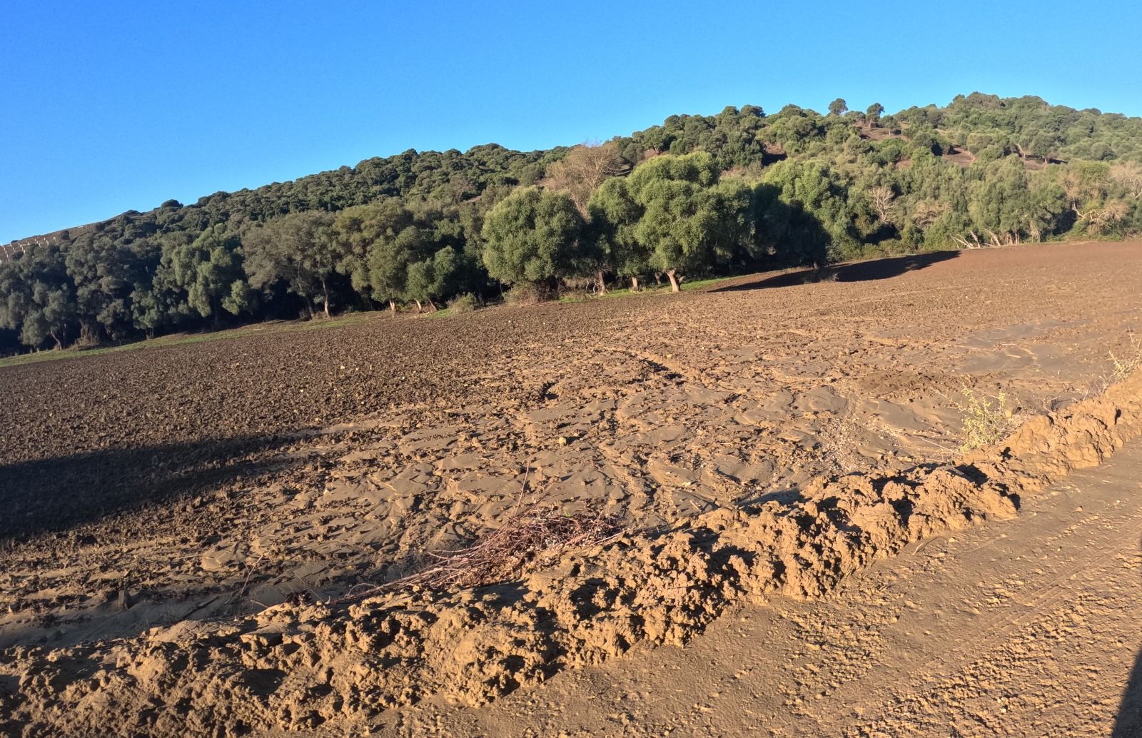 Agaden denuncian arrastres de barro hacia la pantaneta de abastecimiento de la ETAP de El Cañuelo Agaden denuncian arrastres de barro hacia la pantaneta de abastecimiento de la ETAP de El Cañuelo