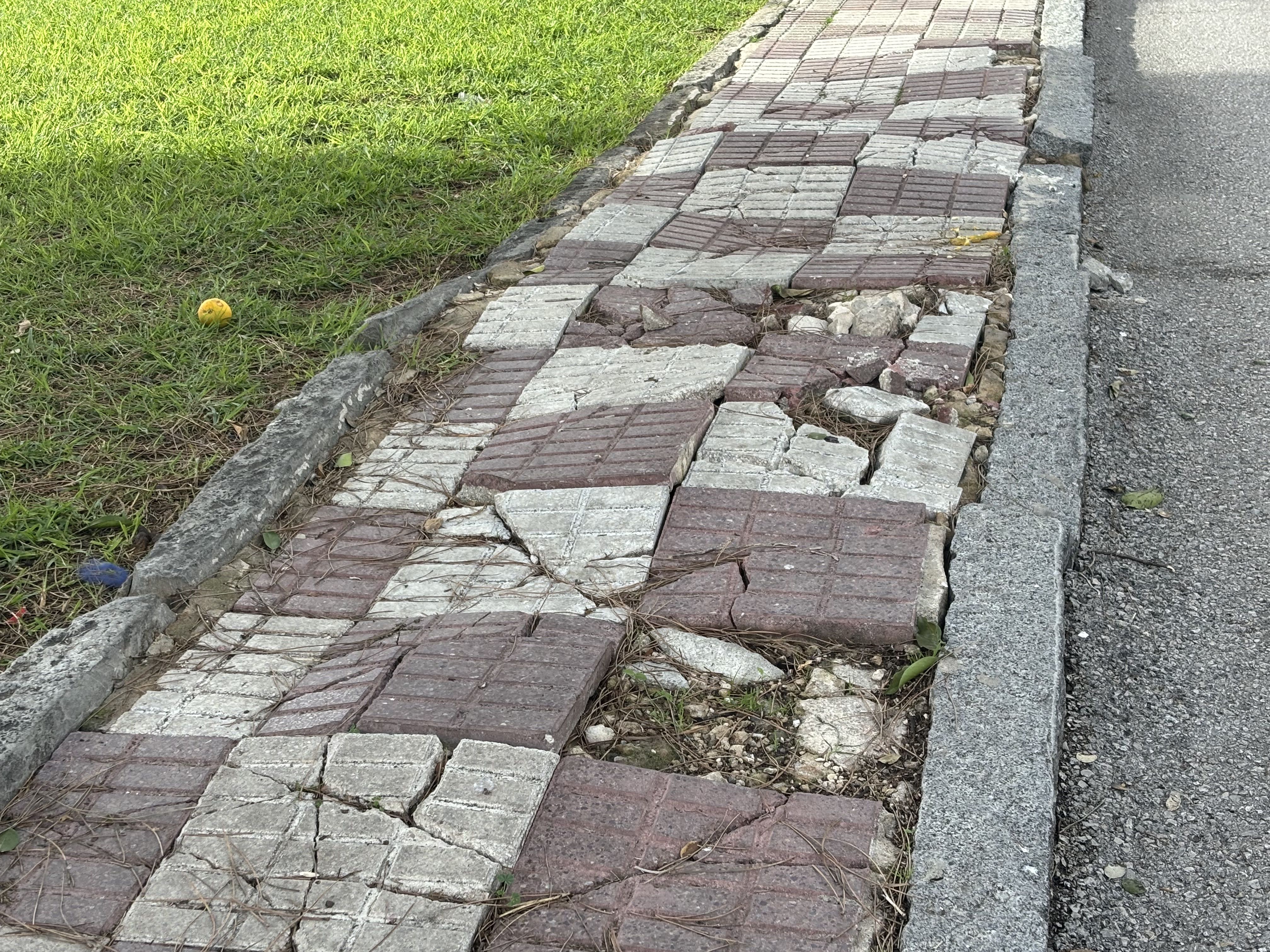 El PSOE de Los Barrios volverá a exigir un plan de mejora del acerado El PSOE de Los Barrios volverá a exigir un plan de mejora del acerado