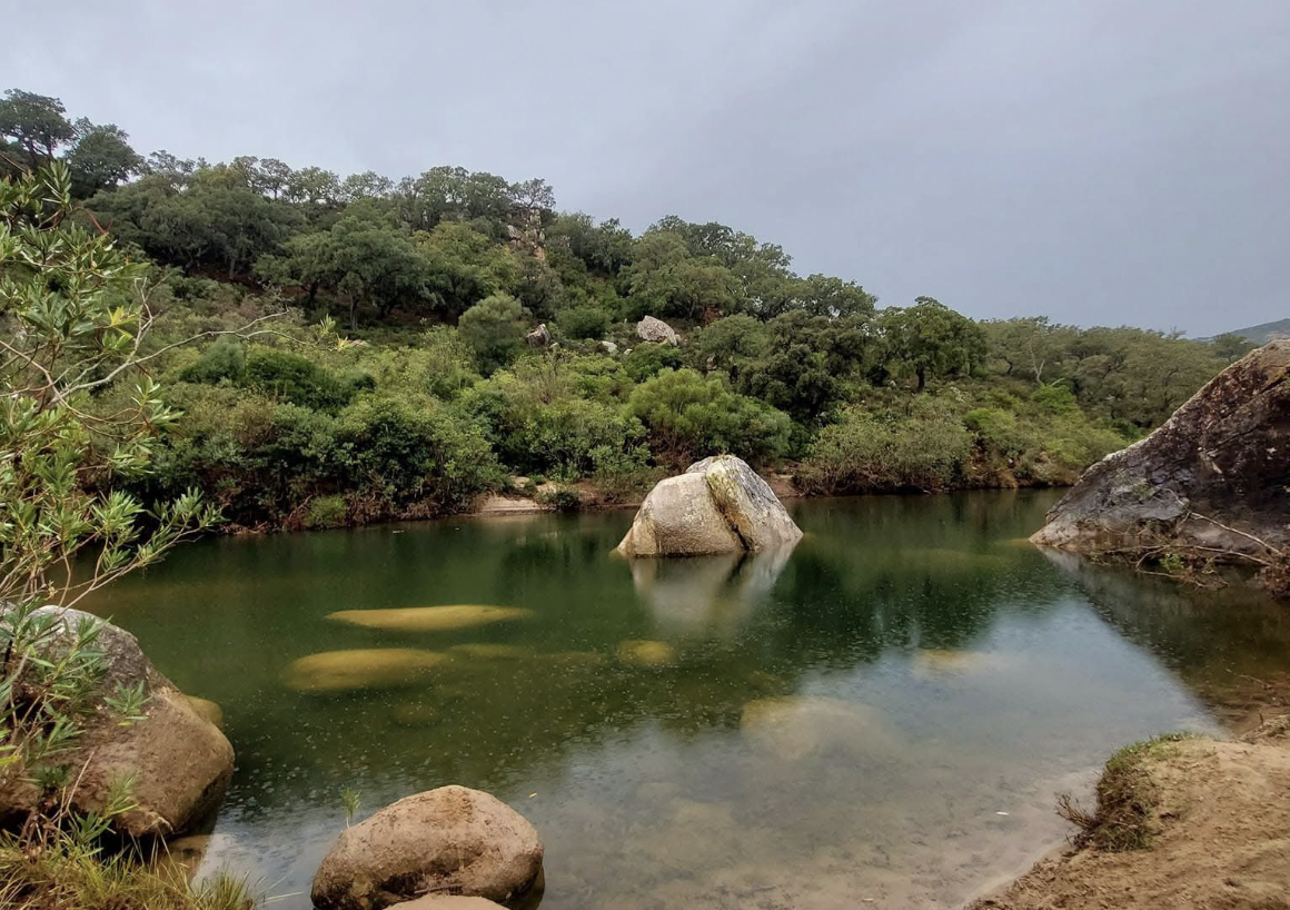 Una ruta senderista por el Hozgarganta recaudará fondos para combatir la enfermedad de Lafora. Foto: Frank Vega. Una ruta senderista por el Hozgarganta recaudará fondos para combatir la enfermedad de Lafora. Foto: Frank Vega.