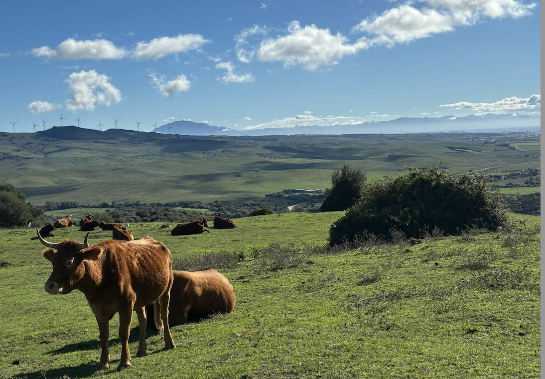 Agaden celebra el dictamen que frena el Parque Eólico Arrebol por su impacto crítico en el Valle de la Luz