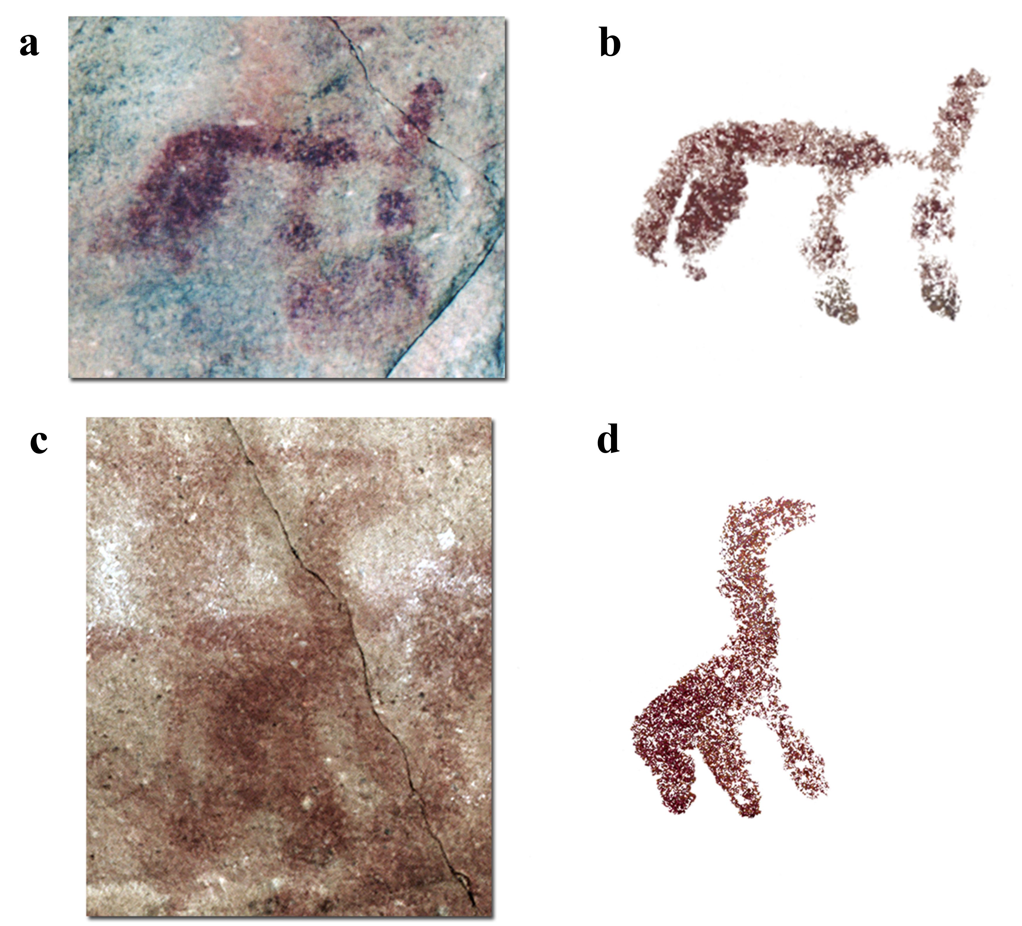 Zoomorfos esquemáticos de tendencia naturalista de la Cueva de Atlanterra. a y b. Cuadrúpedo indeterminado 98 del panel 1. a. Fotografía procesada digitalmente. b. Reproducción digital. c y d. Posible ave o cuadrúpedo 170 del panel 4. c. Fotografía procesada digitalmente. d. Reproducción digital Zoomorfos esquemáticos de tendencia naturalista de la Cueva de Atlanterra. a y b. Cuadrúpedo indeterminado 98 del panel 1. a. Fotografía procesada digitalmente. b. Reproducción digital. c y d. Posible ave o cuadrúpedo 170 del panel 4. c. Fotografía procesada digitalmente. d. Reproducción digital