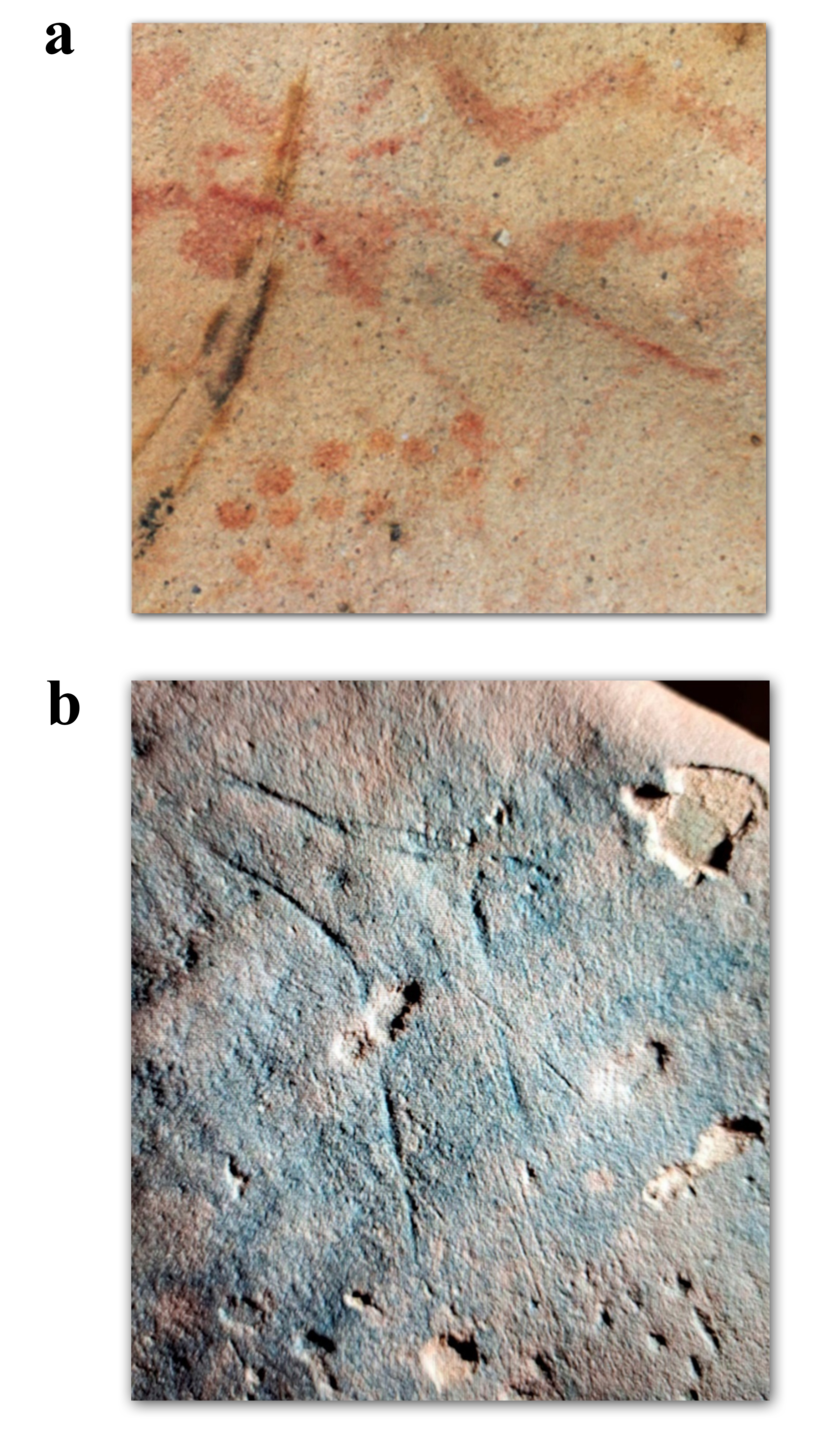 Comparativa entre prótomos de la Cueva de Atlanterra (a) y Tachokalt (b. Valle de Tamanart) Comparativa entre prótomos de la Cueva de Atlanterra (a) y Tachokalt (b. Valle de Tamanart)