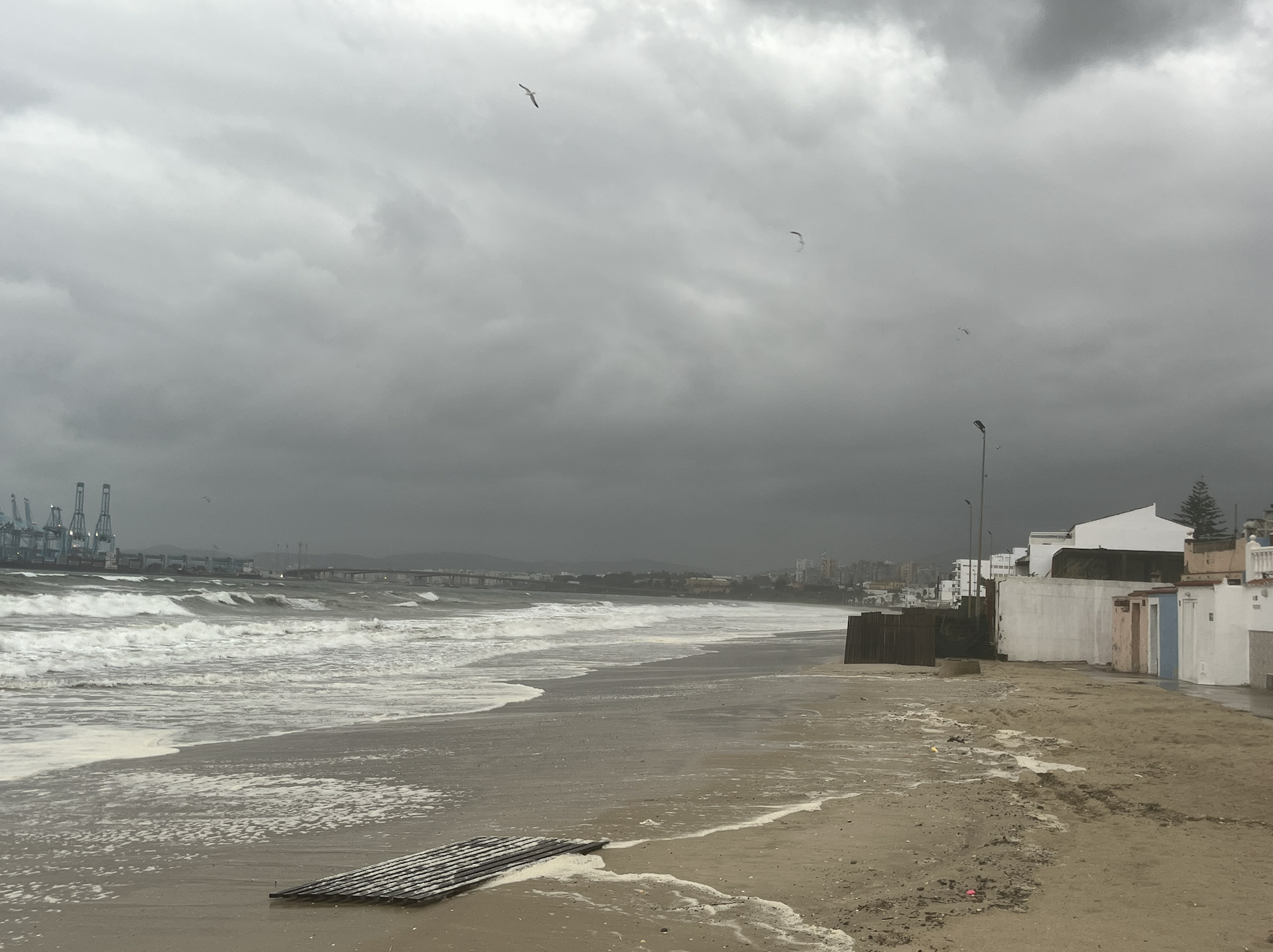 La borrasca Emilia sacude el Campo de Gibraltar en una madrugada de lluvias y fuertes vientos. 