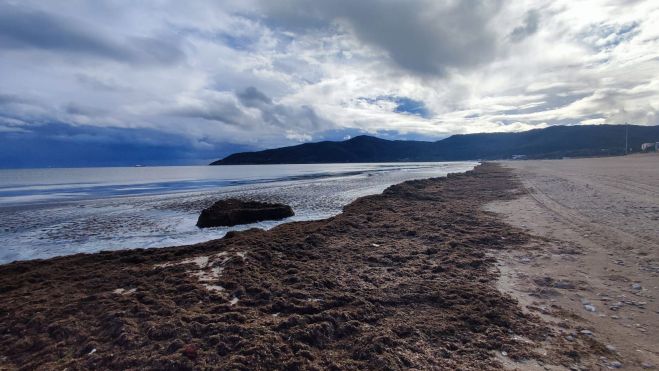 82dd544e 8815 4e00 89e8 317e97c05758